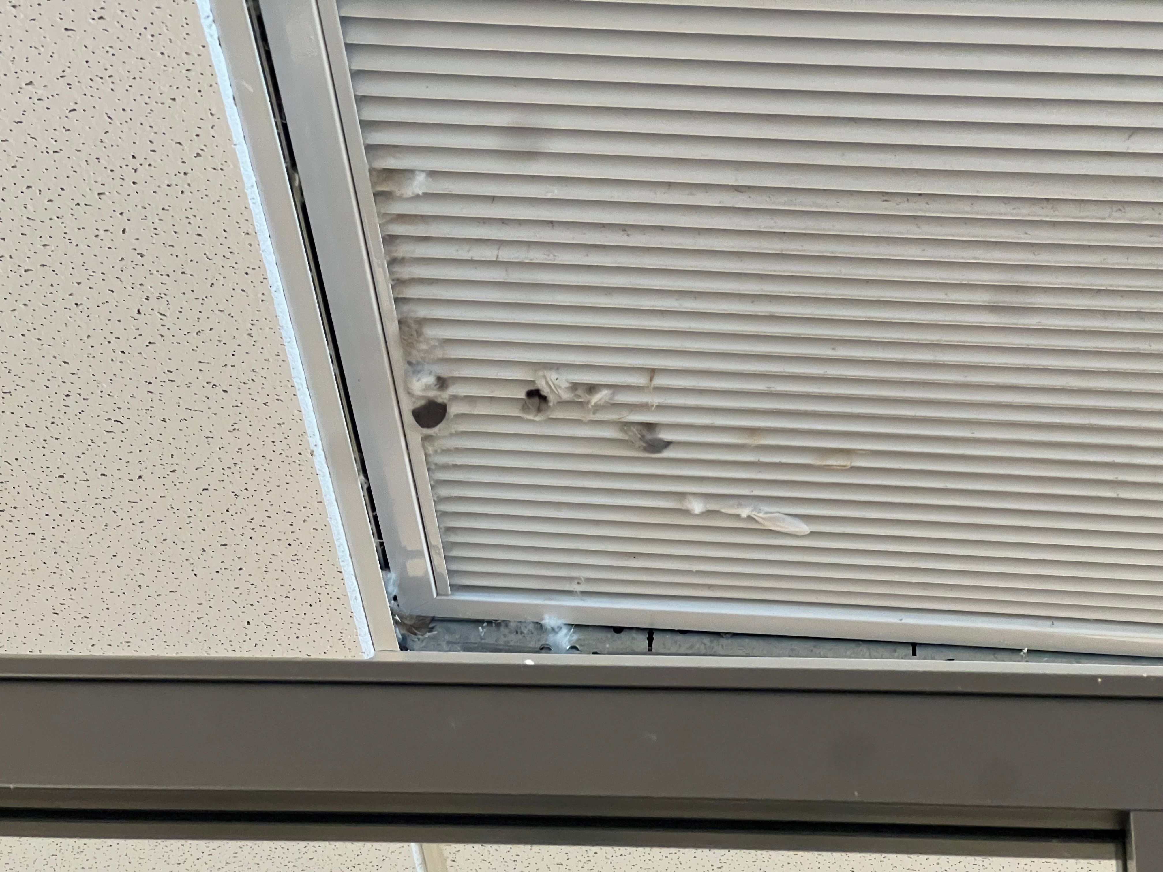  for N&D Restoration Services When Disaster Strikes, We Come In in Cape Coral,  FL