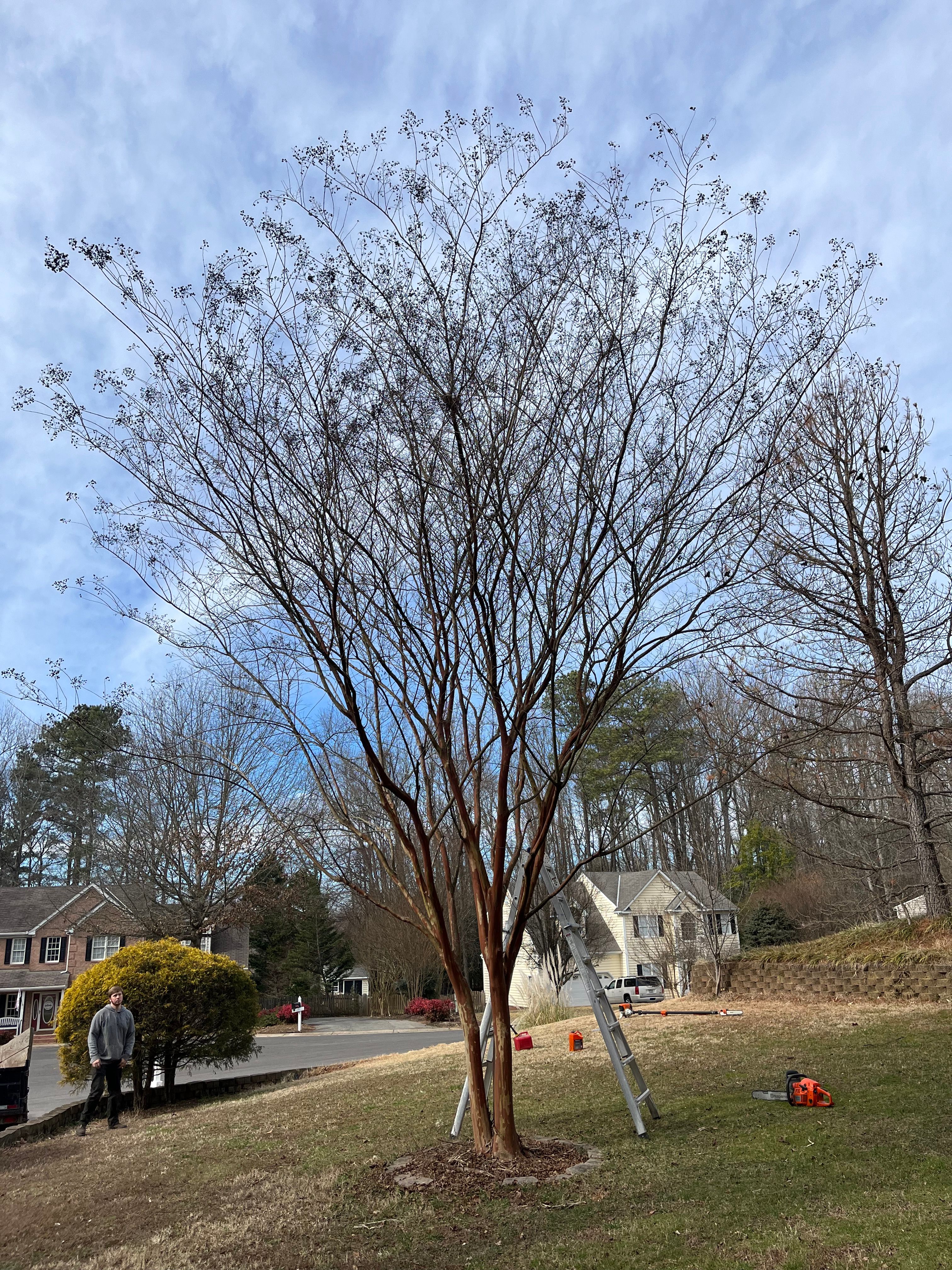  for Atlas Home Services in Mechanicsville, VA