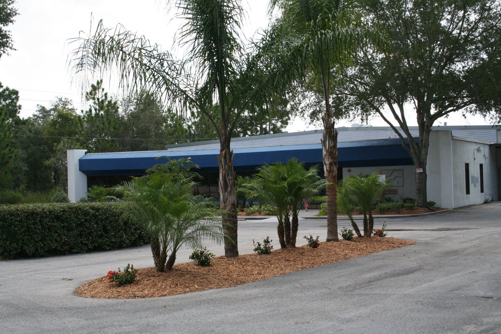 for Genesis Landscape Services in Spring Hill, FL