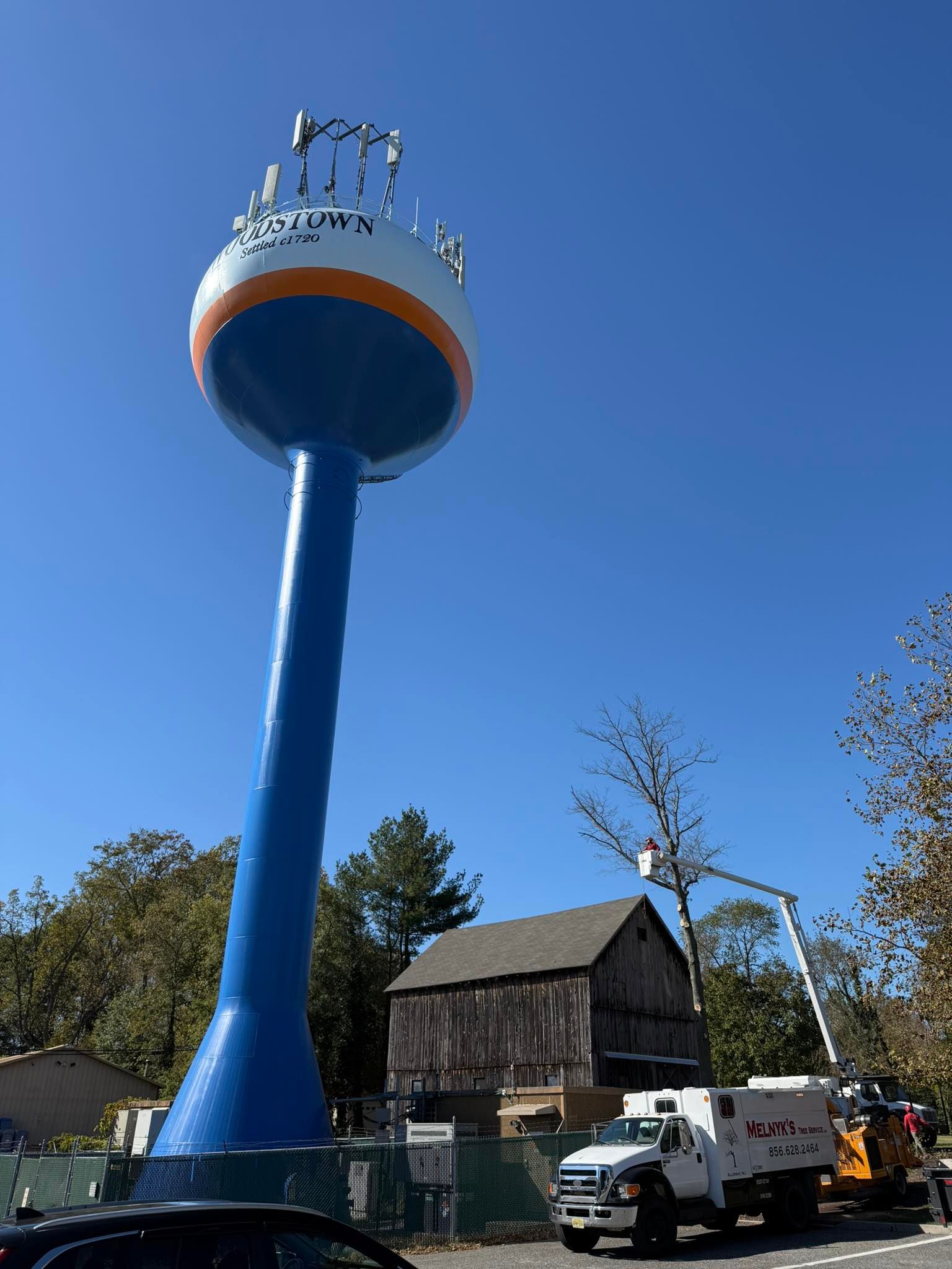 All Photos for Melnyk’s Tree Service in Salem County, NJ