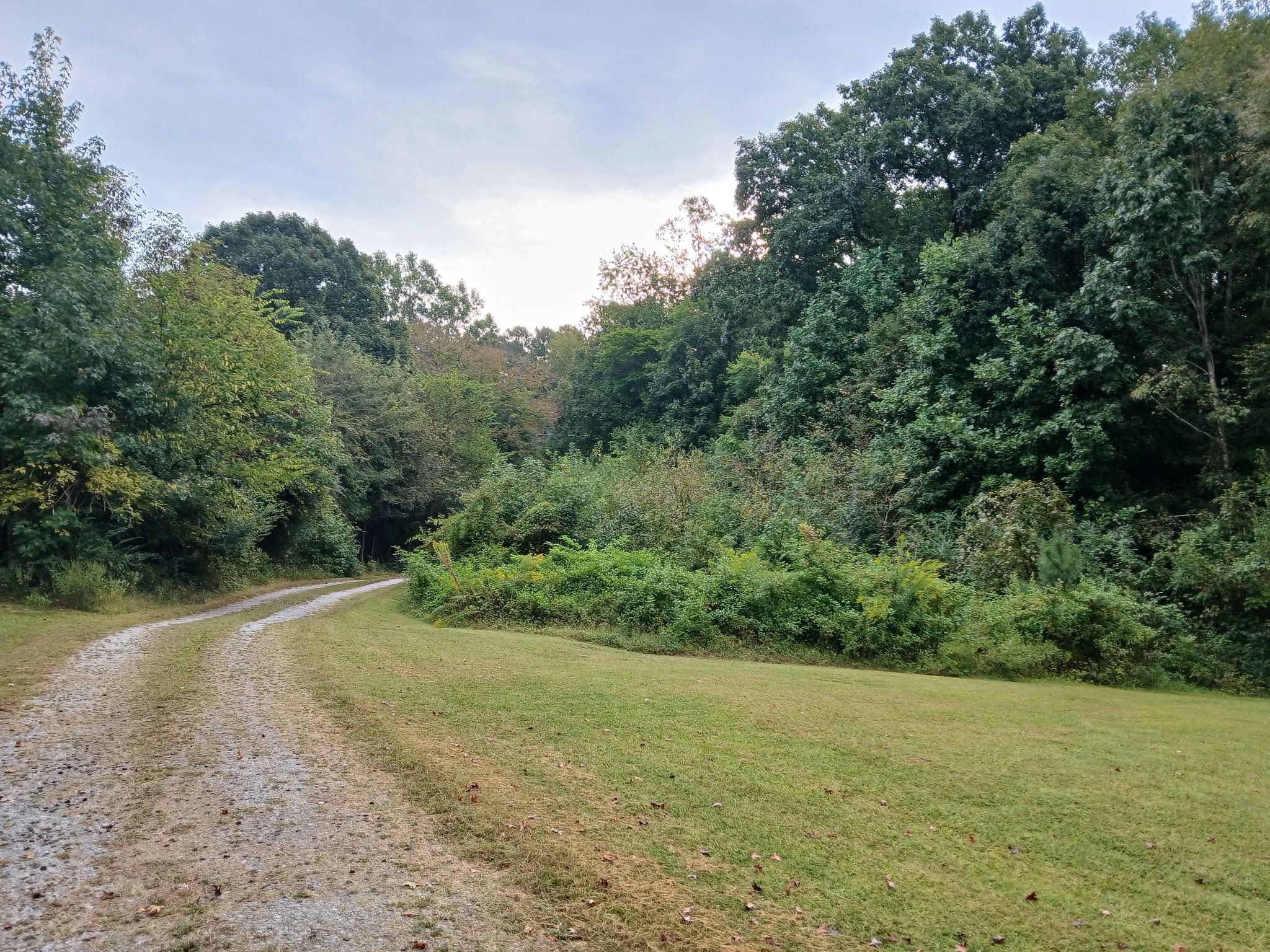  for Whiskey Ridge Mulching & Land Services in South Boston, VA