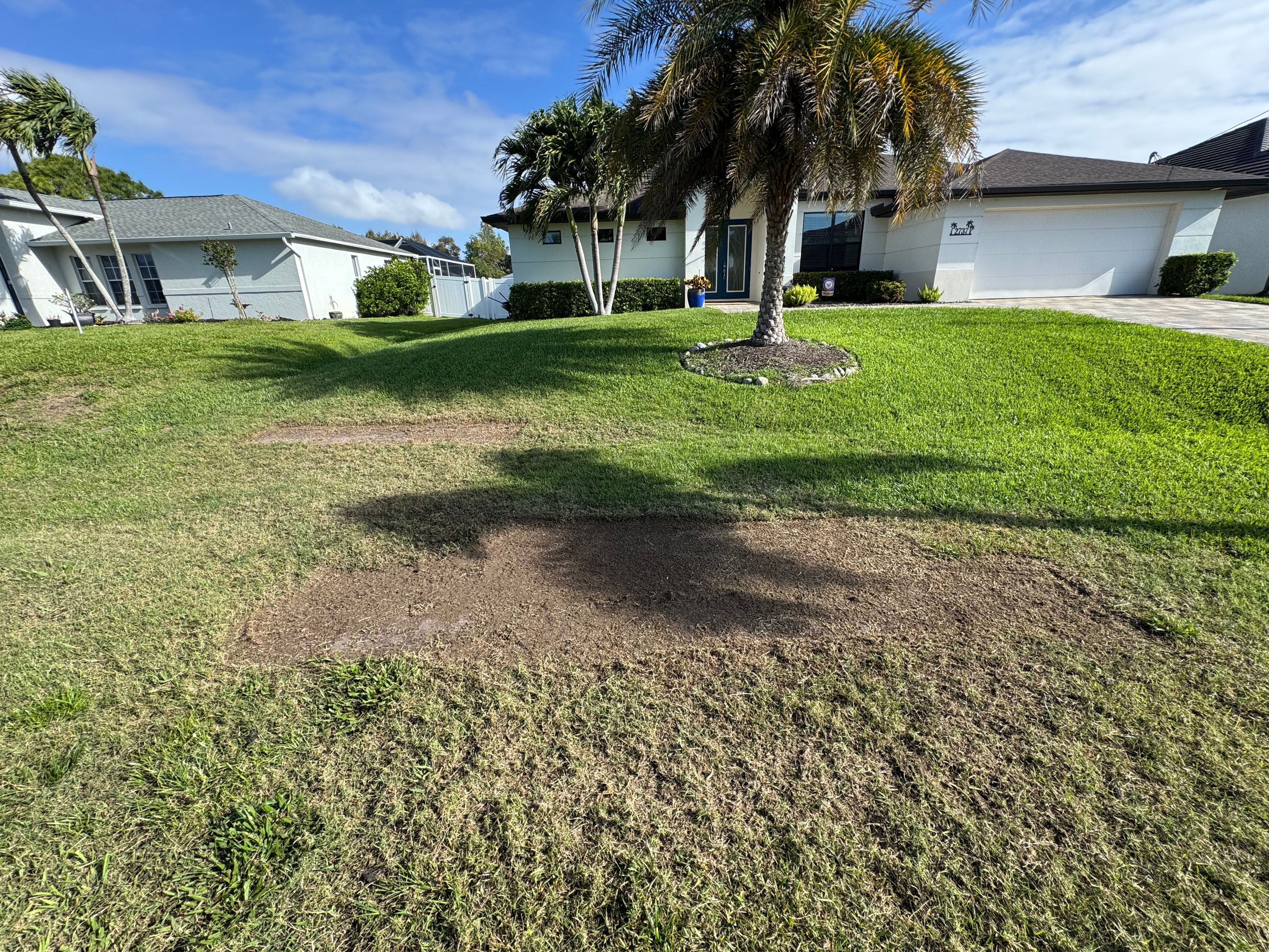  for BH Lawn and Landscape in Fort Myers, FL