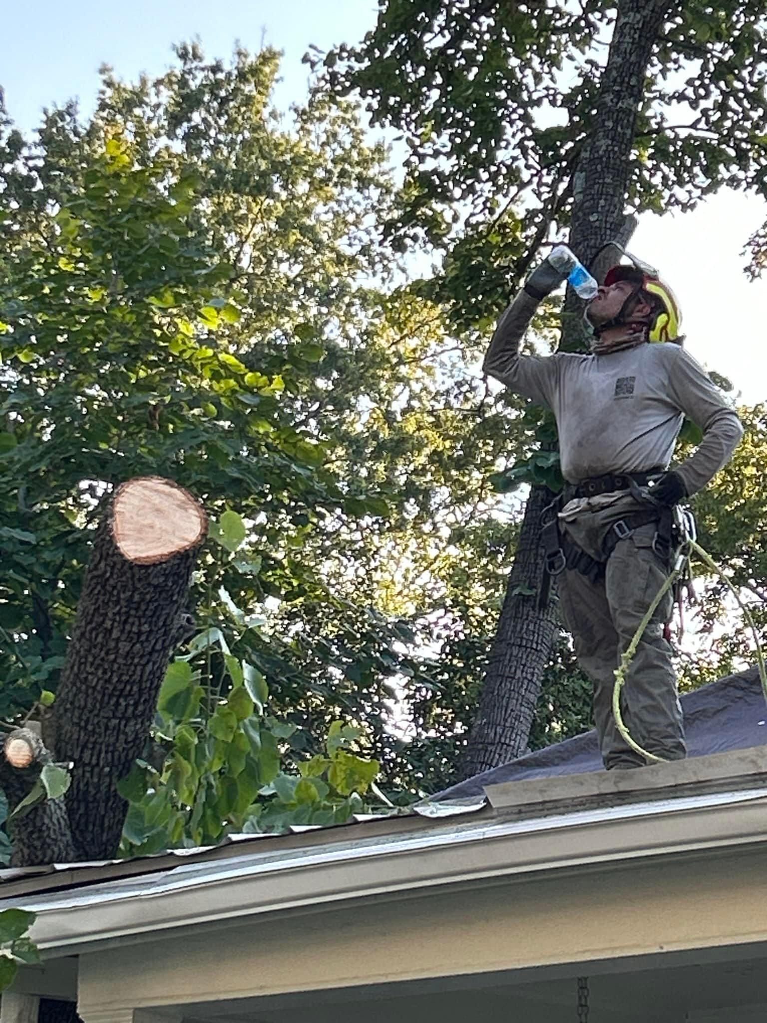  for AB Tree Service in Raleigh, NC