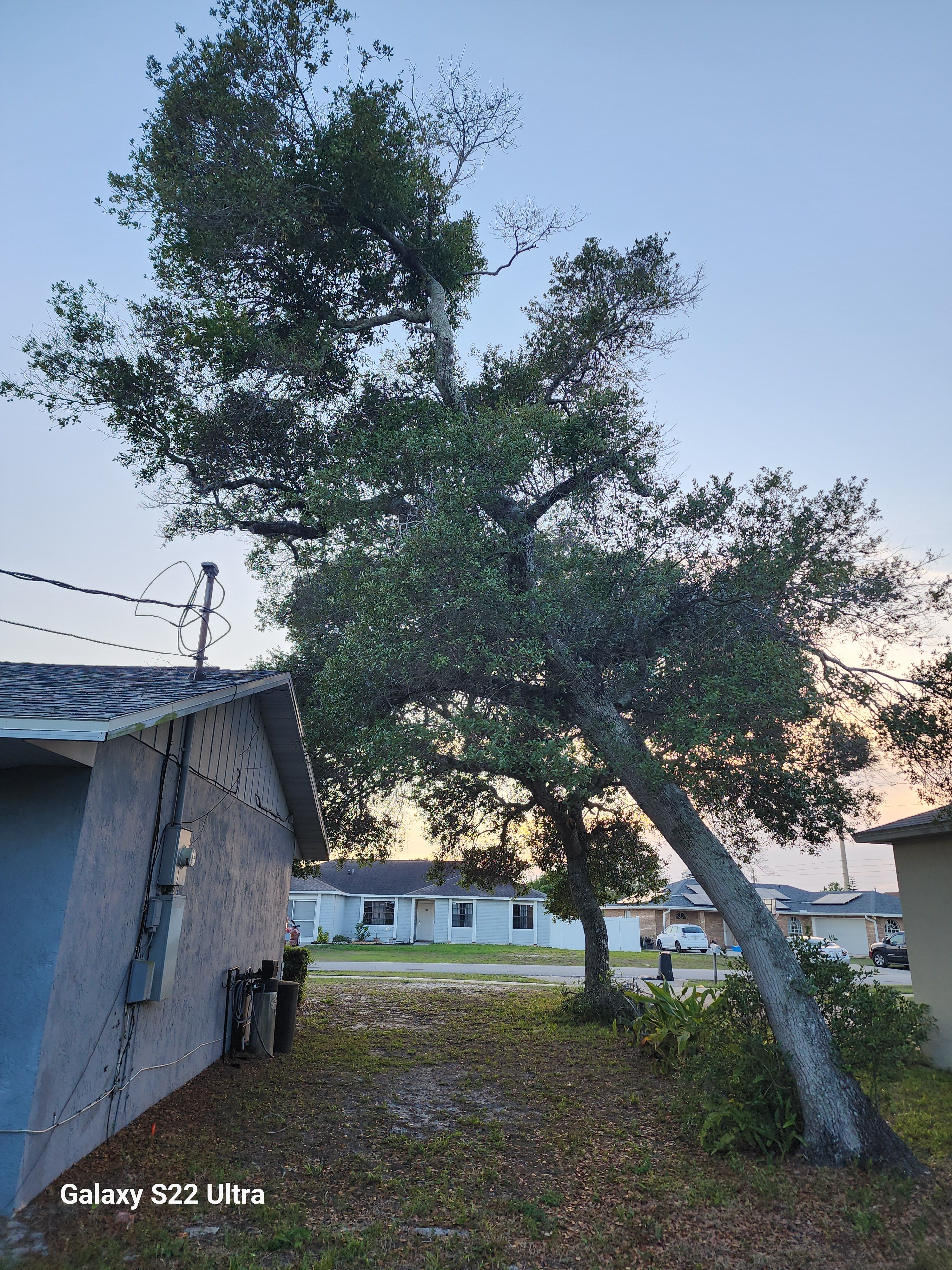 All Photos for Highlife Tree Care And Landscaping in Altamonte Springs, FL