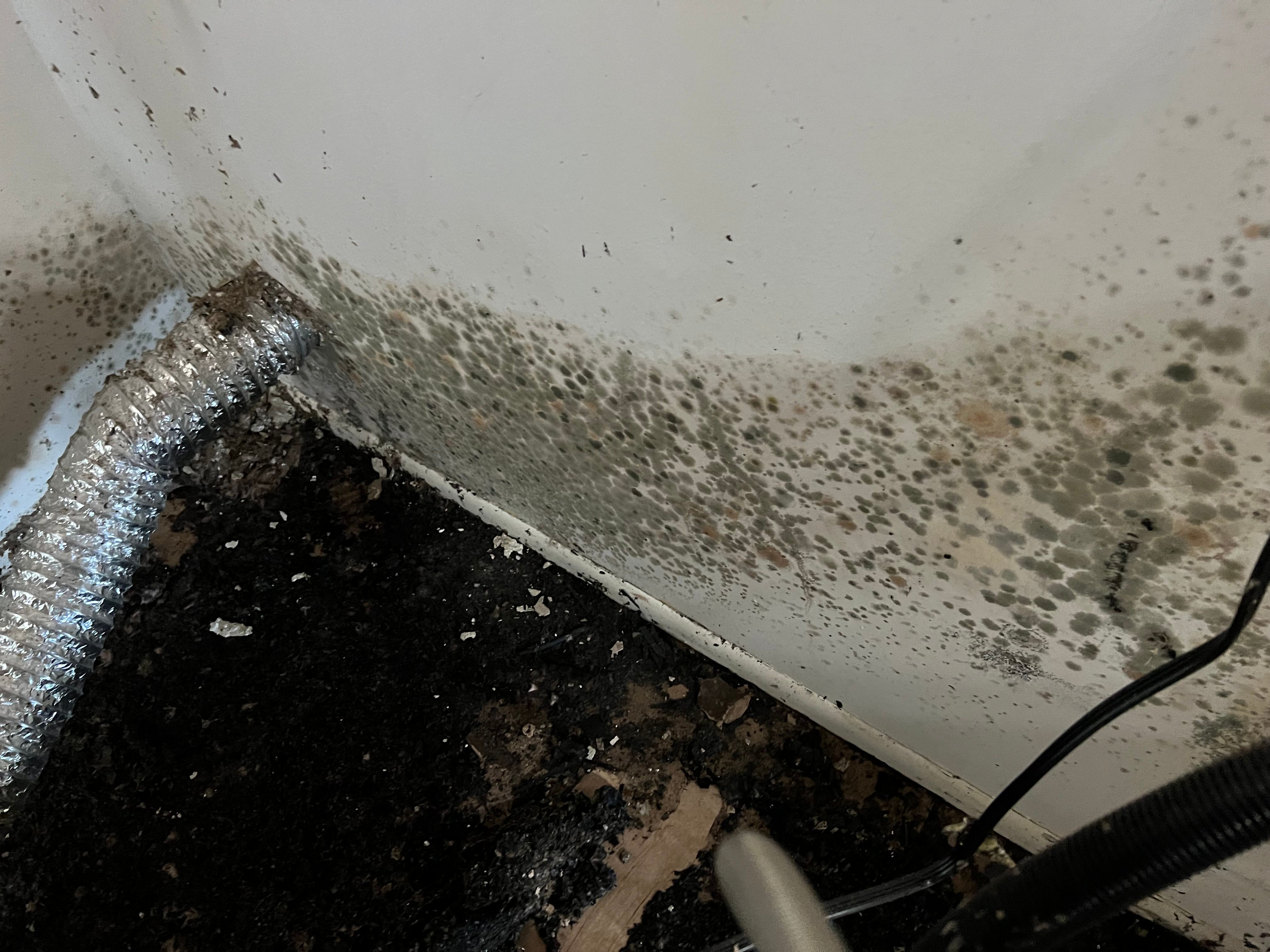  for N&D Restoration Services When Disaster Strikes, We Come In in Cape Coral,  FL