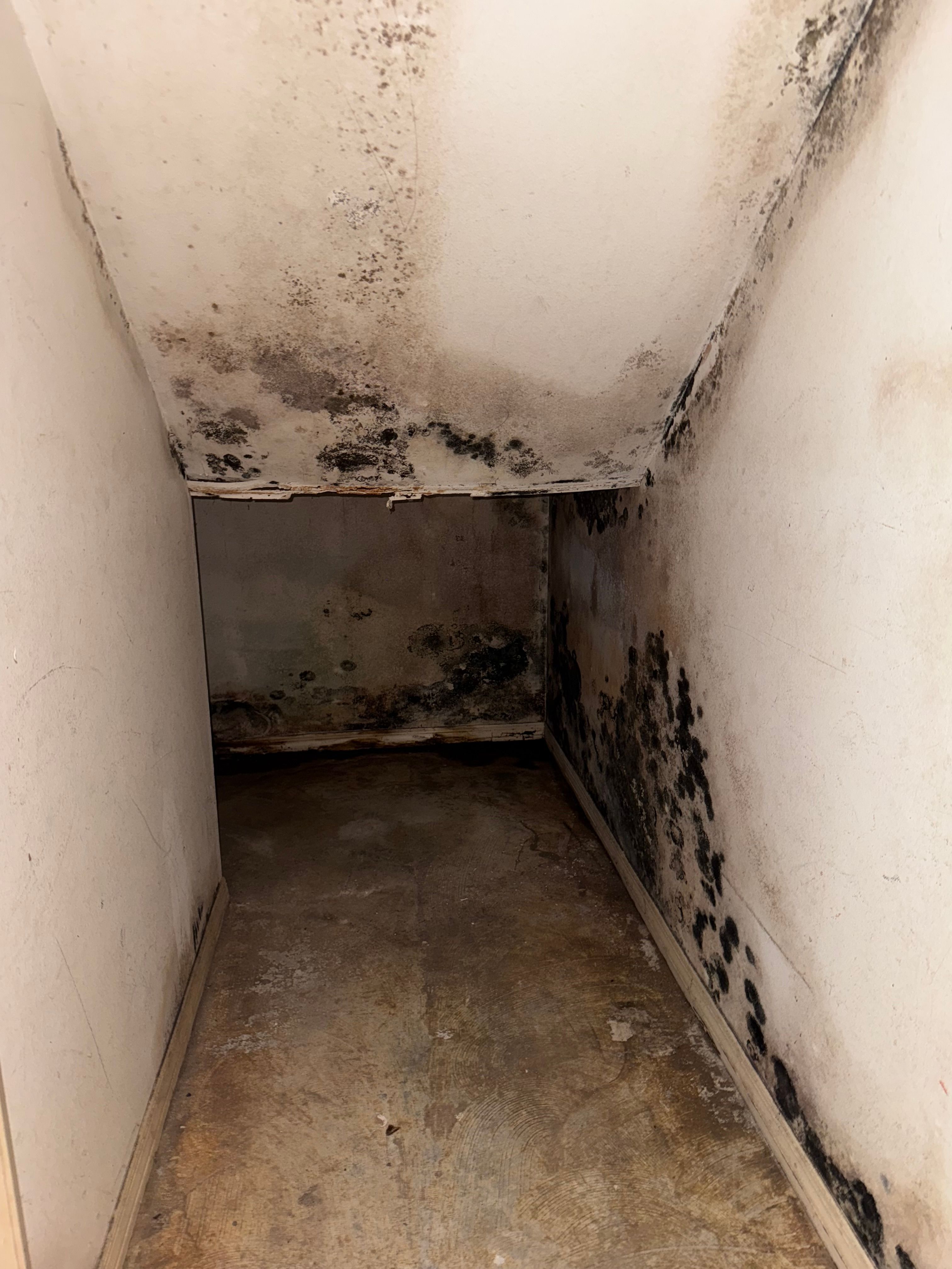  for N&D Restoration Services When Disaster Strikes, We Come In in Cape Coral,  FL