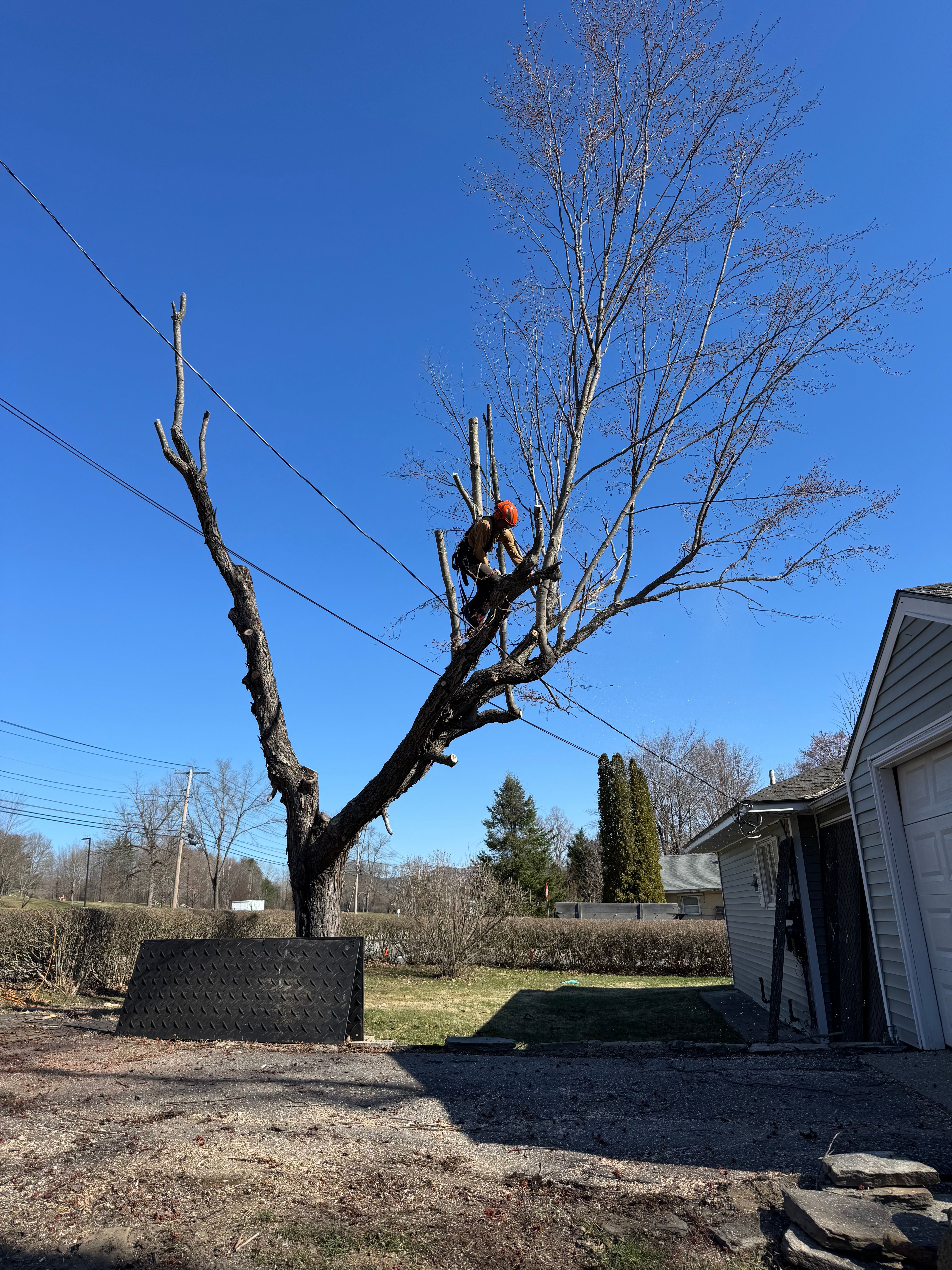 All Photos for Clifford’s Quality Tree Care & Landscaping in Enfield, NH