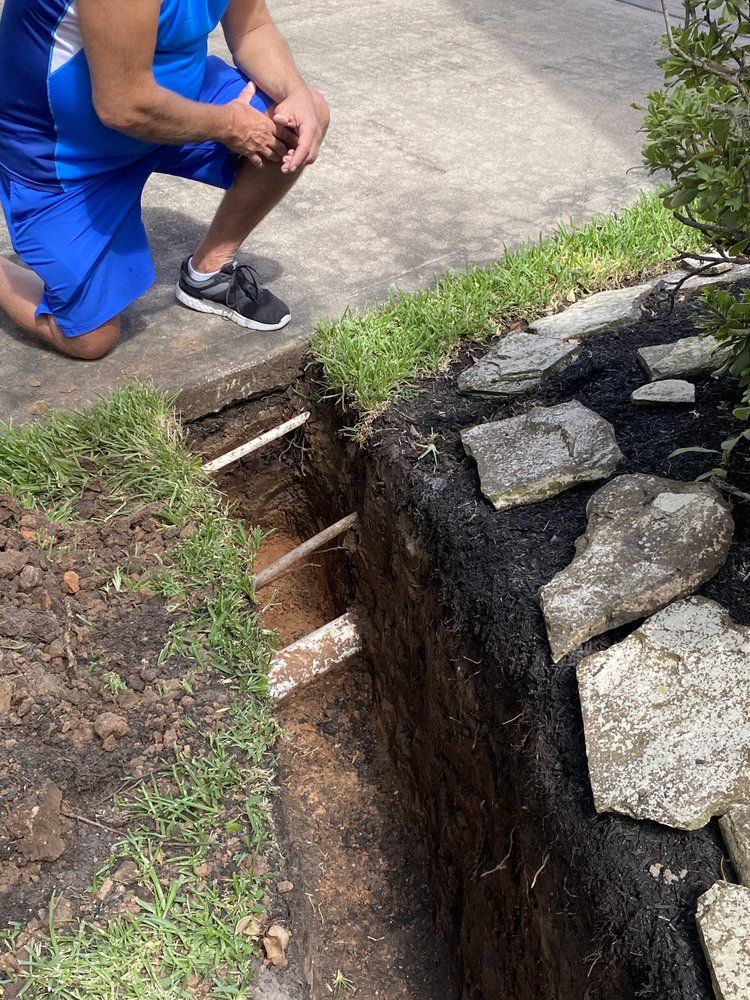  for Greenfield Tree Services in Manvel, TX