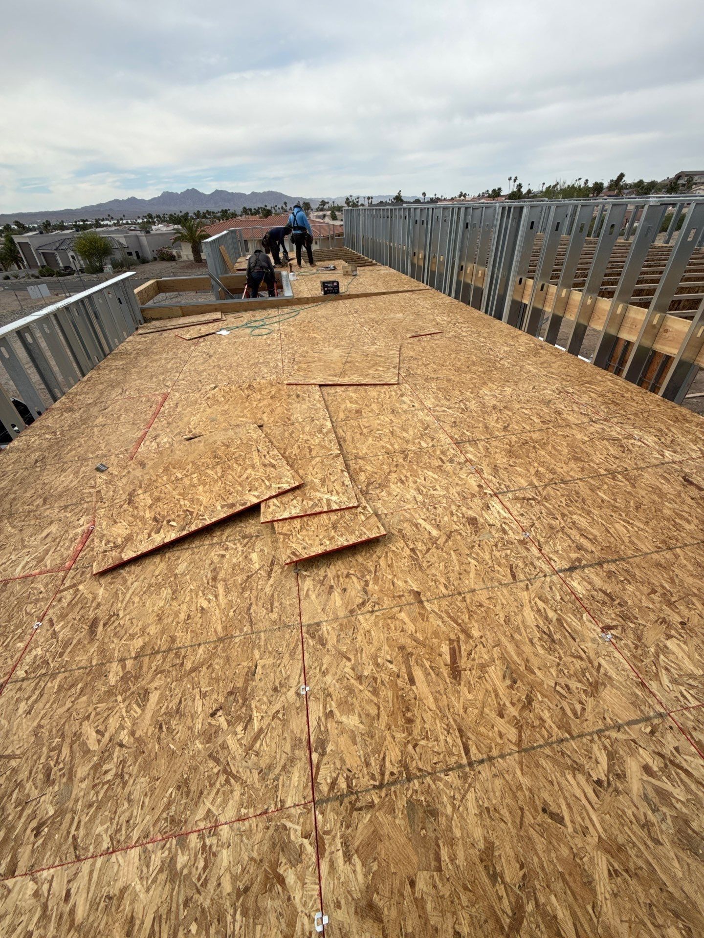  for Ant Farm Construction in Kingman, AZ