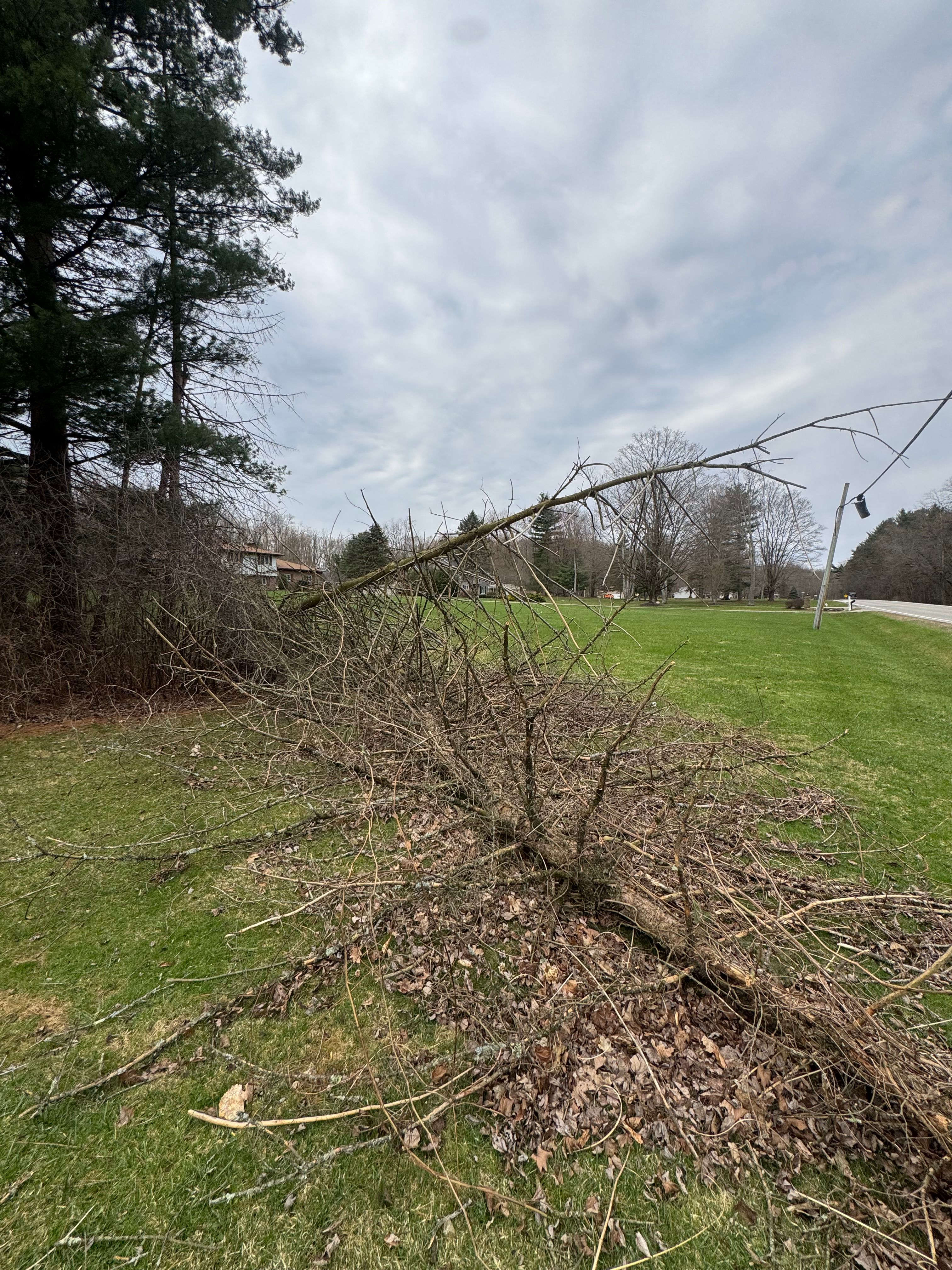  for McKenzie's Landscaping LLC in Shelby, OH