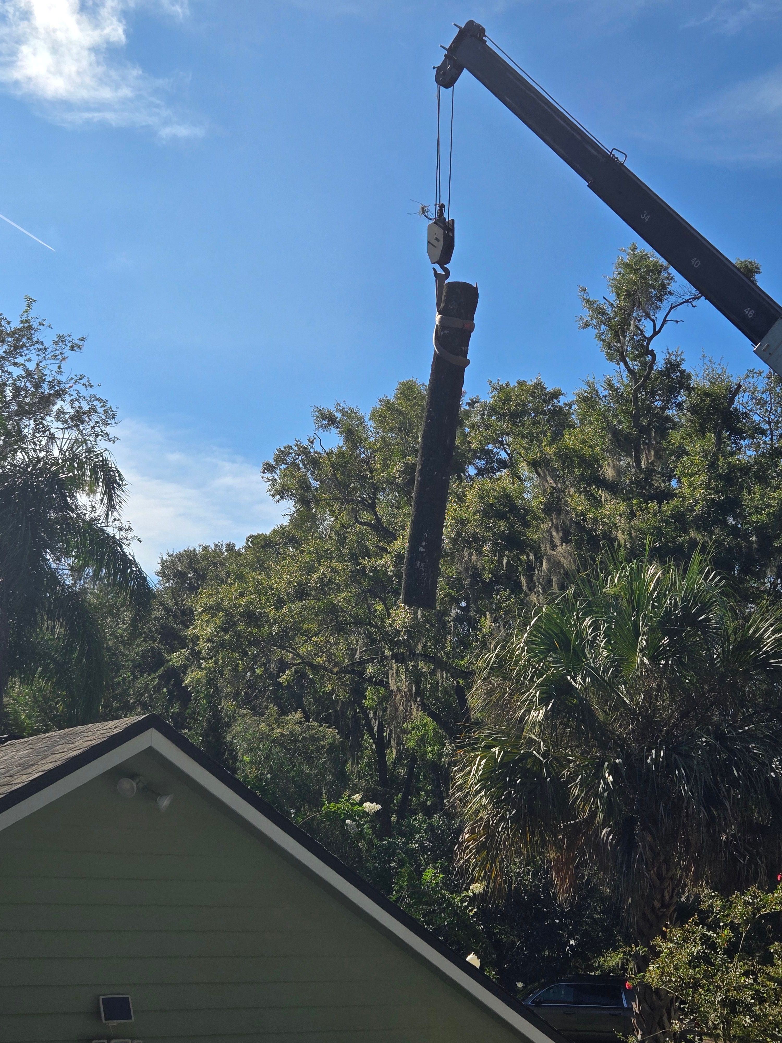All Photos for Near Me Tree Service, Inc. in DeLand, FL