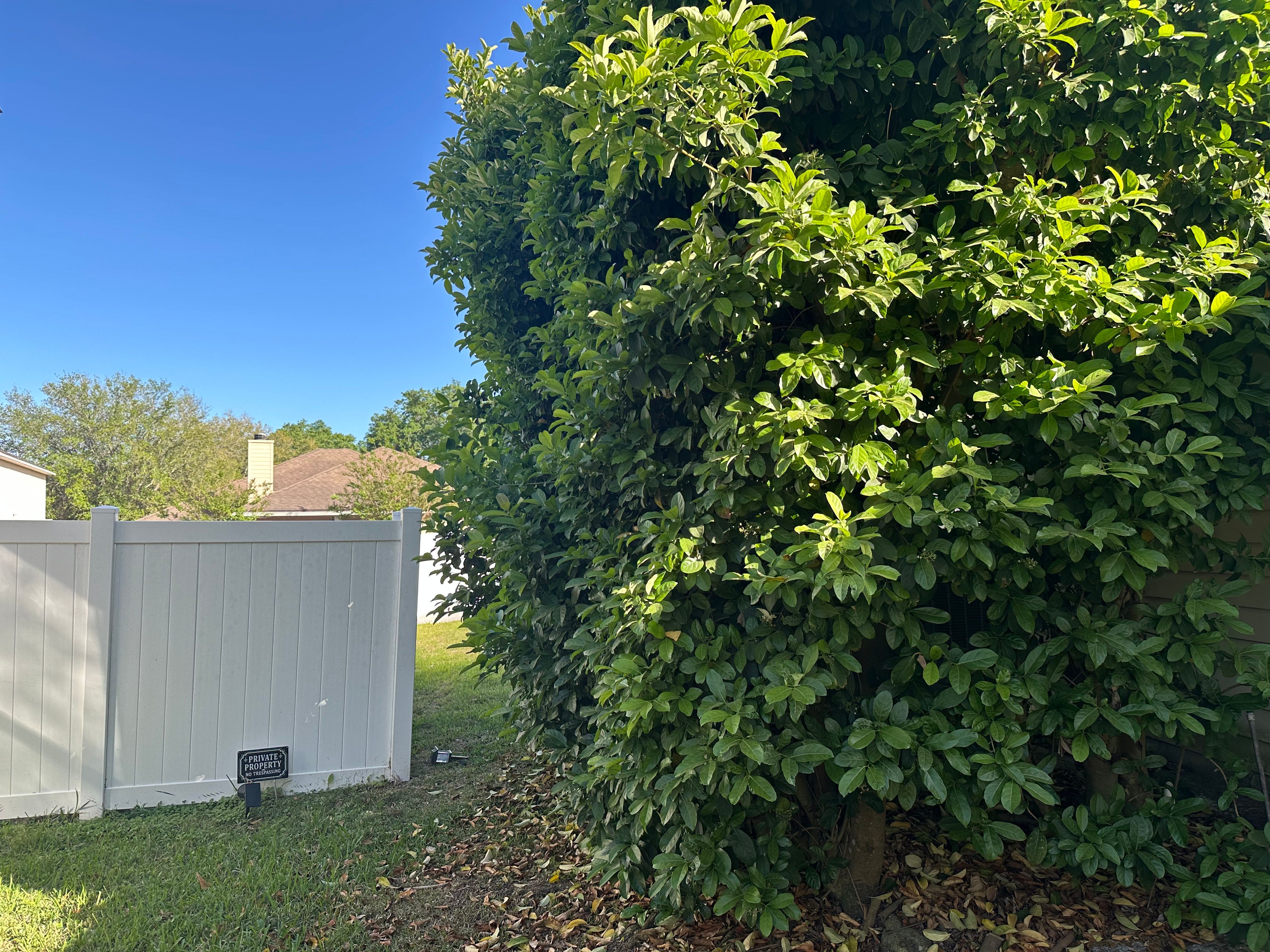 All Photos for All of the Above Landscaping in Orange Park, FL