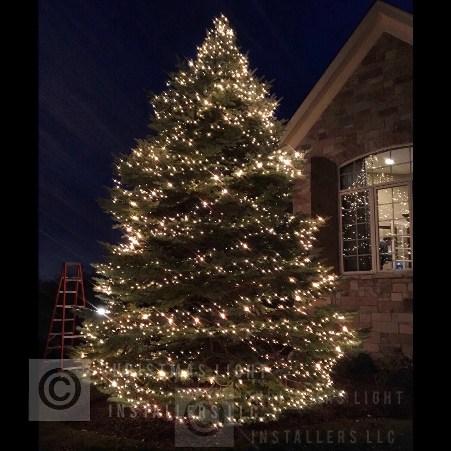 Light Installation for Christmas Light Installers in Indianapolis, IN