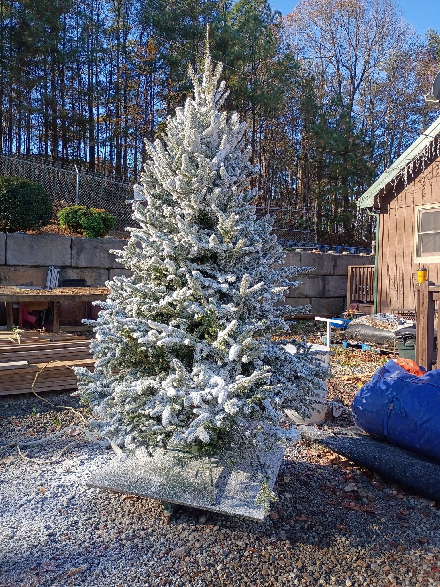 All Photos for BAM Another Pinestraw Lot in Flowery Branch, GA