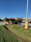  for Thin Green Line Landscaping & More in Laurens, SC