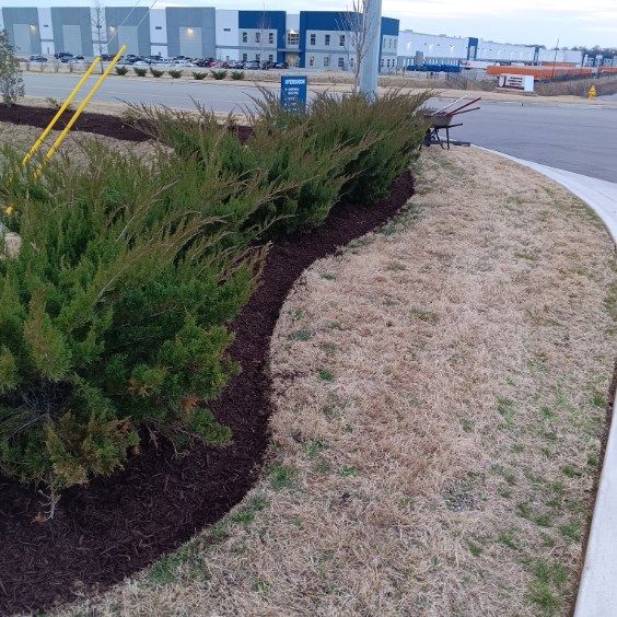  for The Right Price Right Choice Lawn Care Services in Murfreesboro, TN