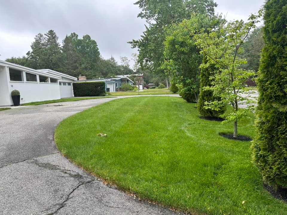  for Saavedra & Sons Landscaping in Waltham, MA