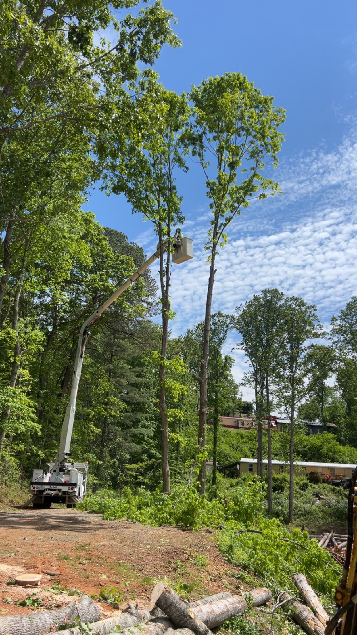  for Ground To Sky Tree Care in Asheville, North Carolina