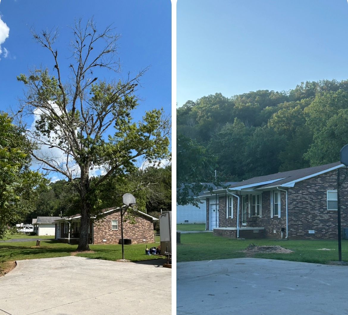  for McBee’s Tree Service in Sewanee, TN