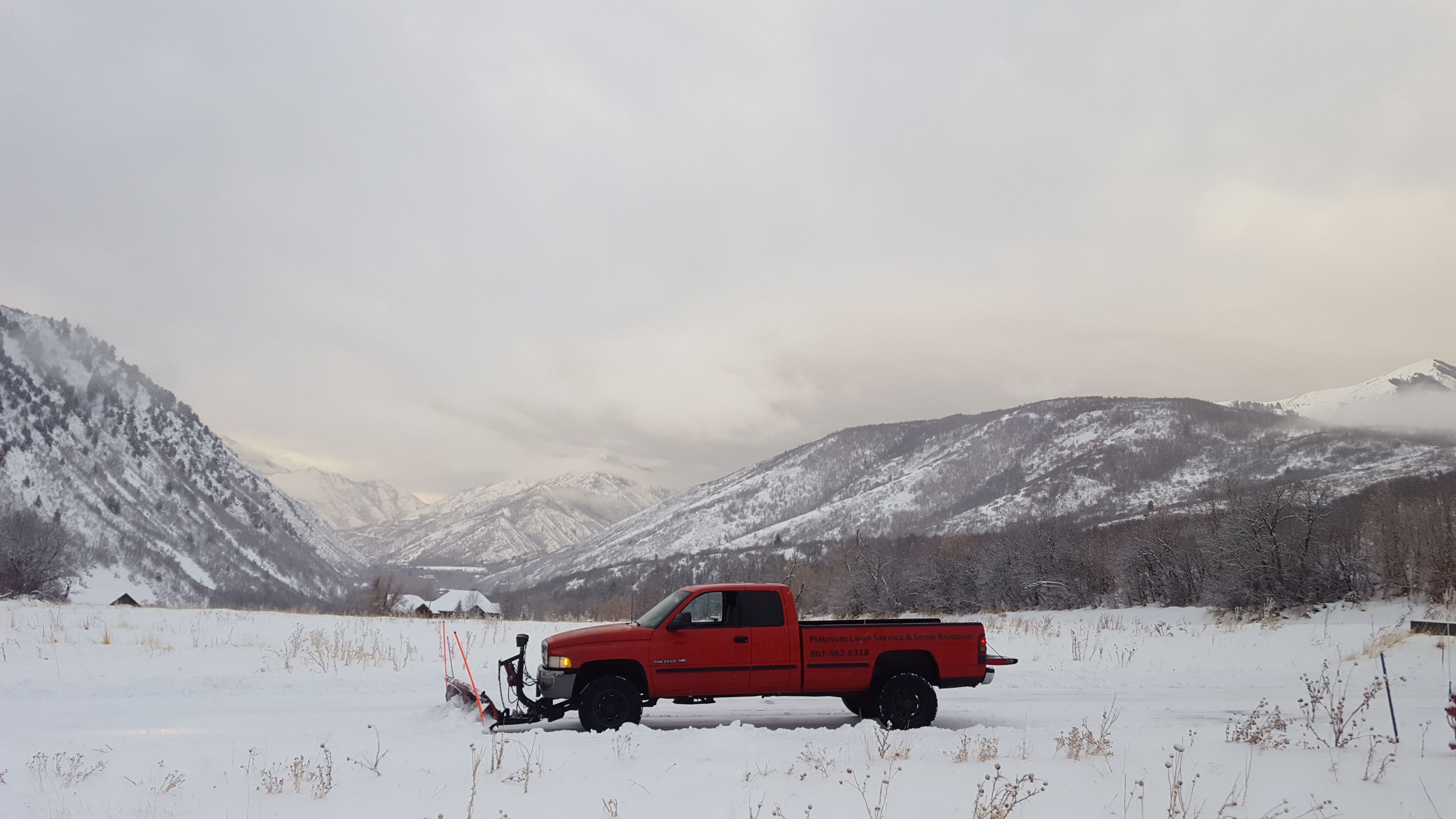  for Platinum Lawn Service in Santaquin, UT