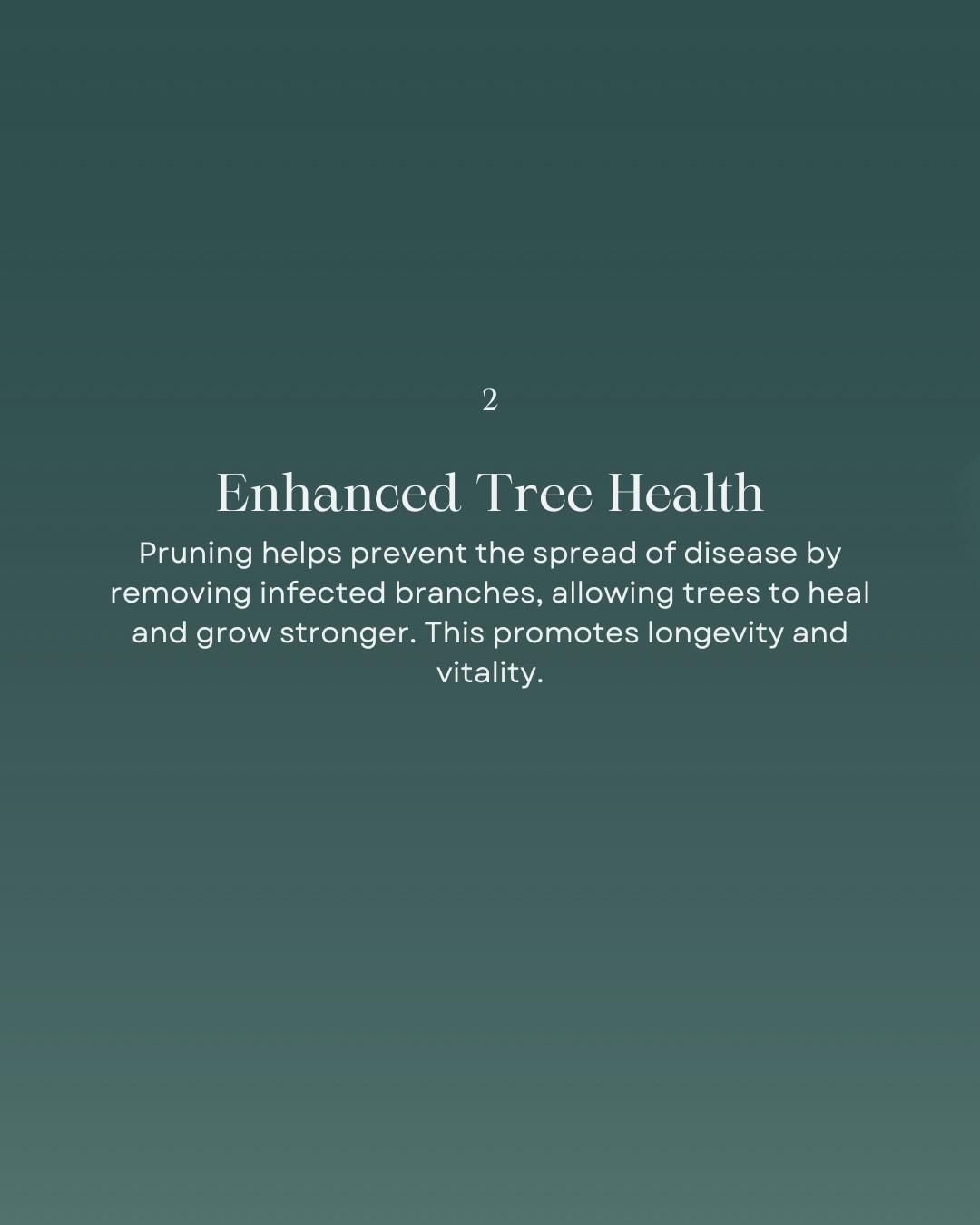 for Oakwood Tree Removal LLC in Oak Creek,  WI
