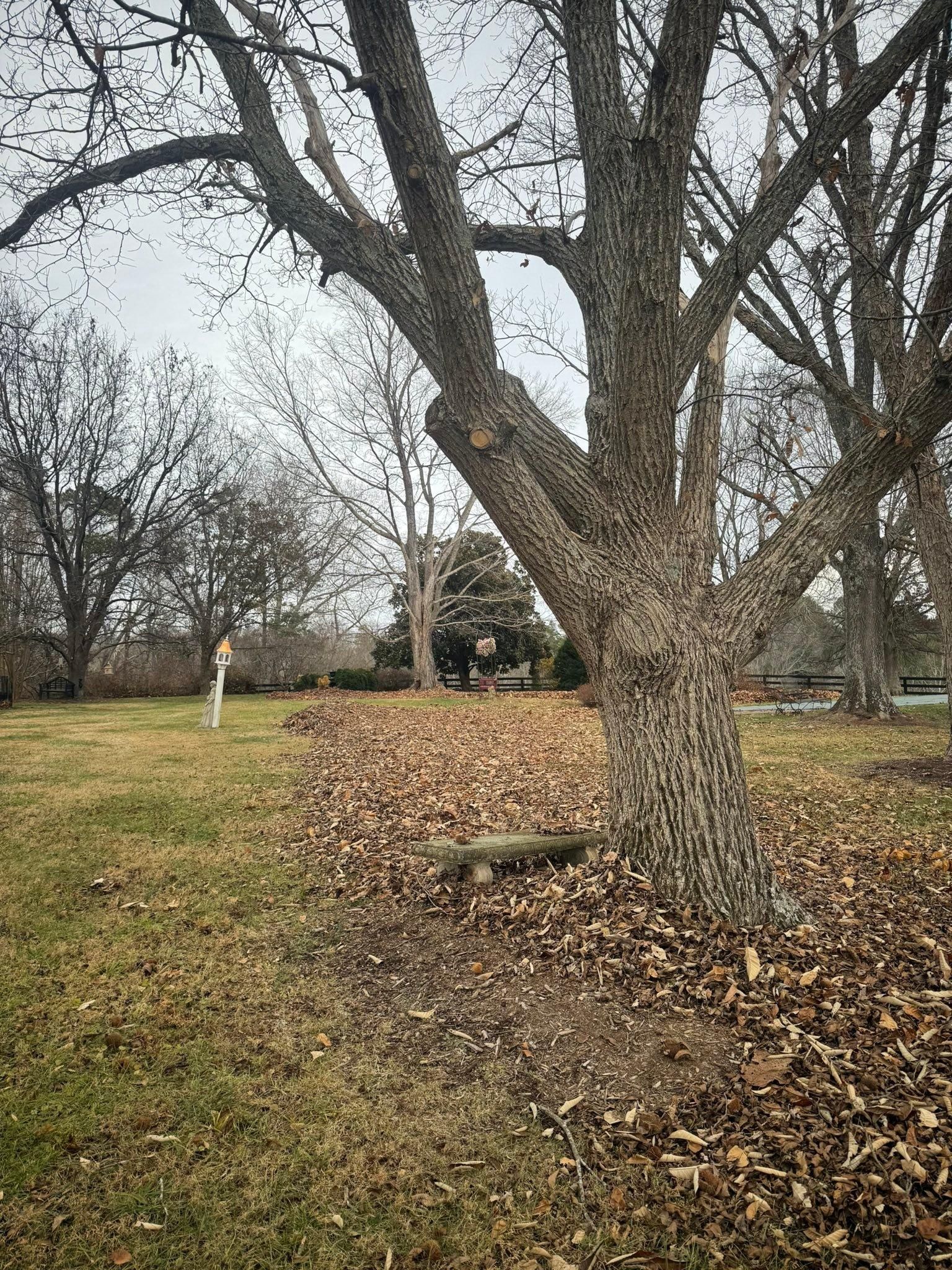  for Chiles Lawn & Landscaping in Gordonsville, VA