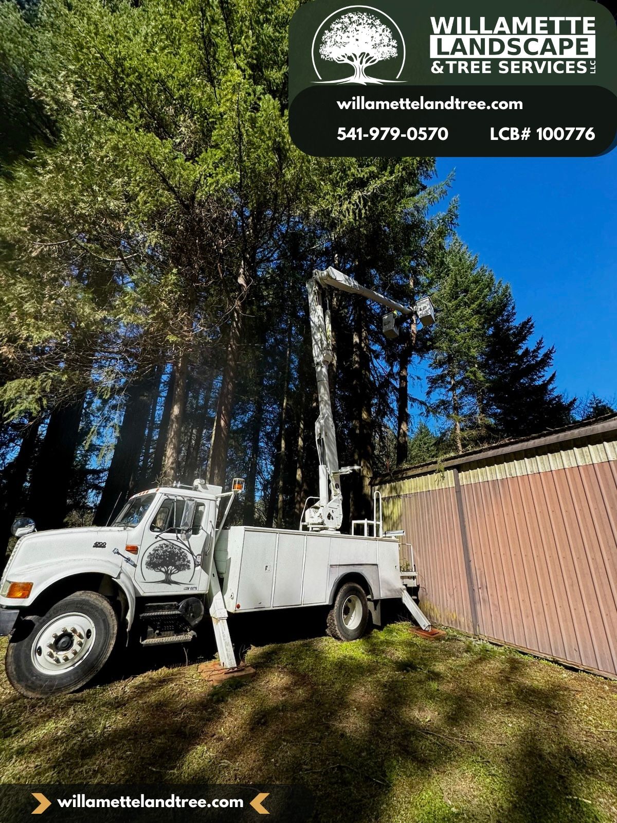  for Willamette Landscaping & Tree Services in Albany, OR