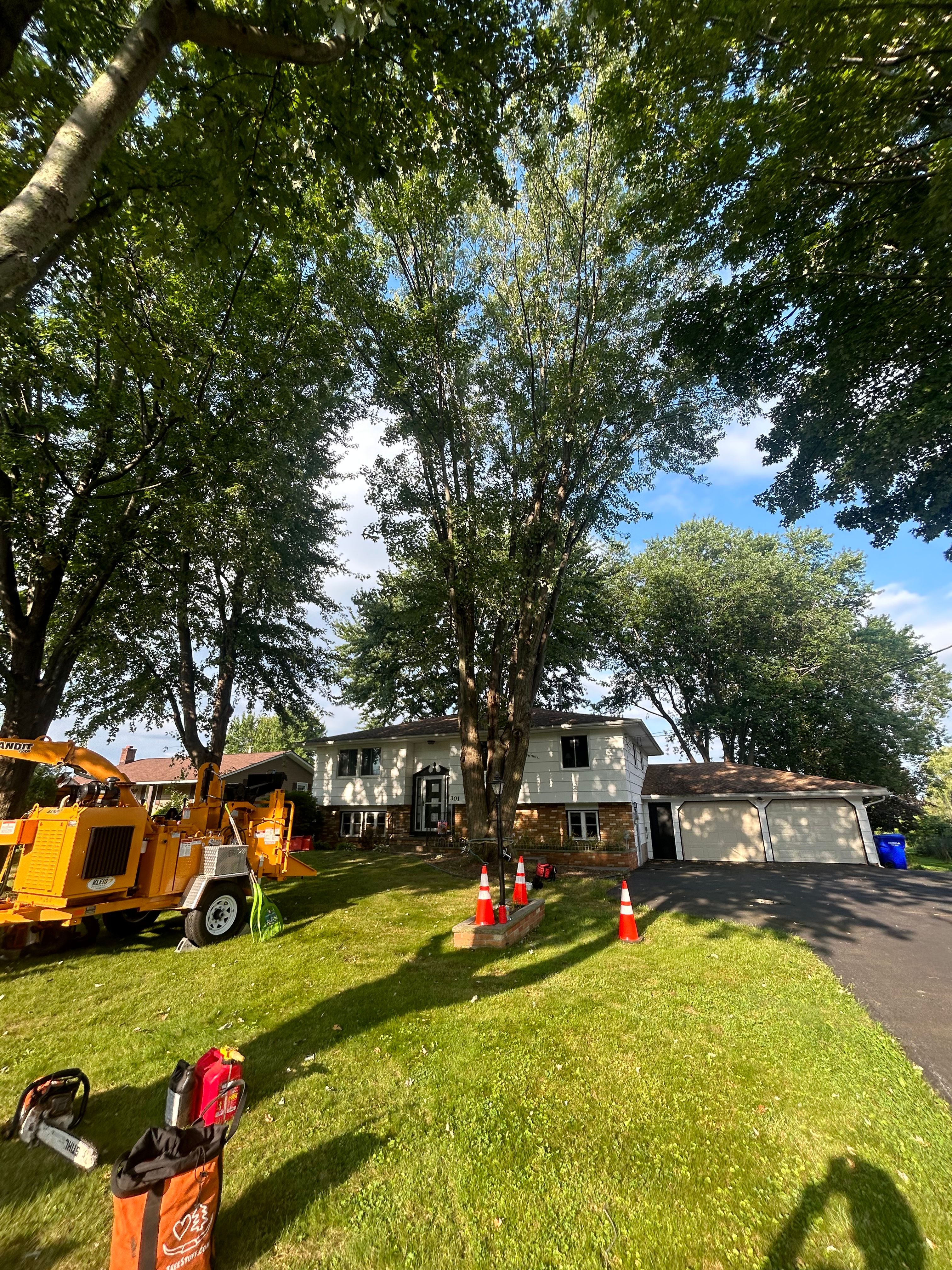 All Photos for S.H. Tree Service LLC in Hilton, NY