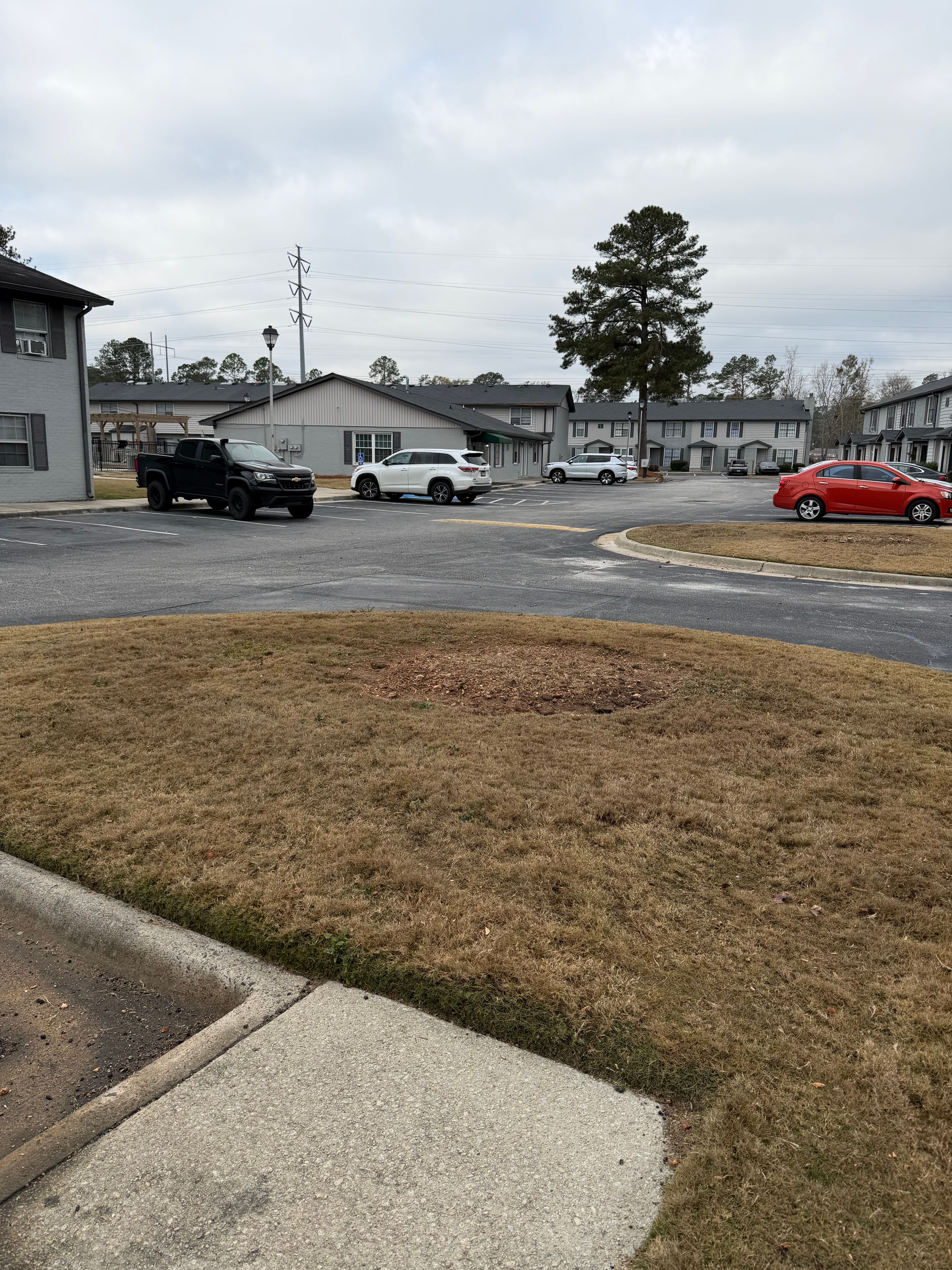  for Dozier Stump Grinding in Augusta, GA