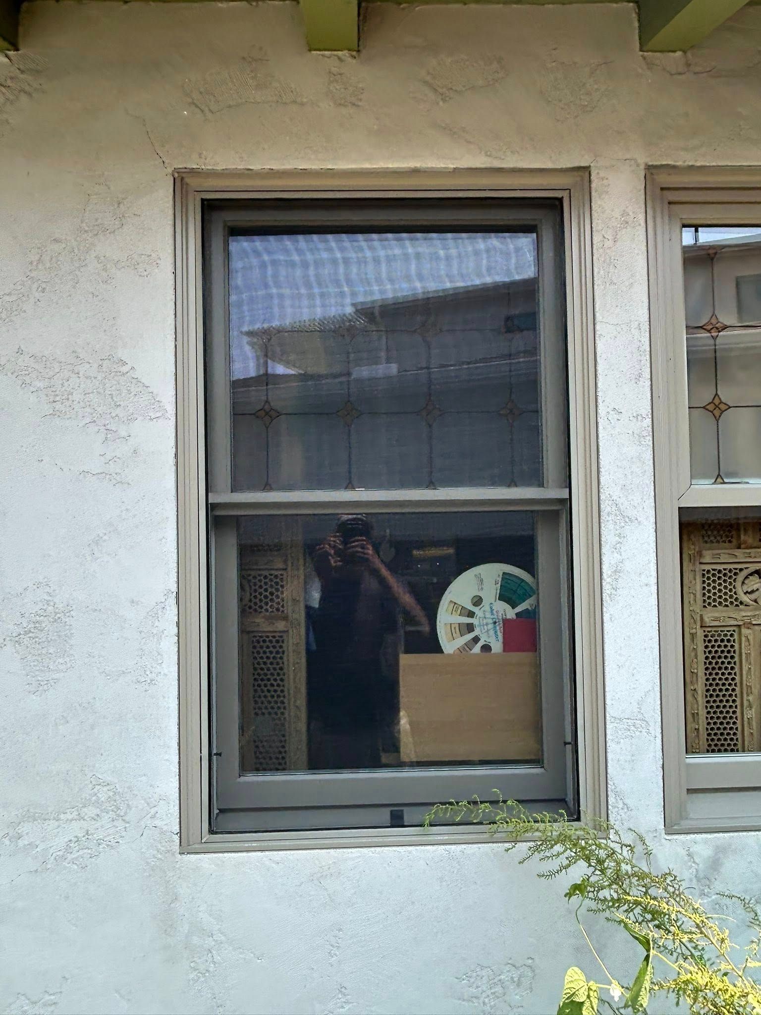 Our Work for Amazing View Services in San Diego, CA