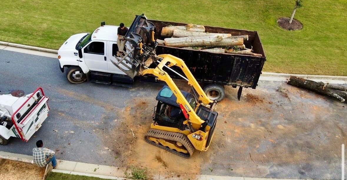  for Clear Tree Land Solutions in Dawson County, GA