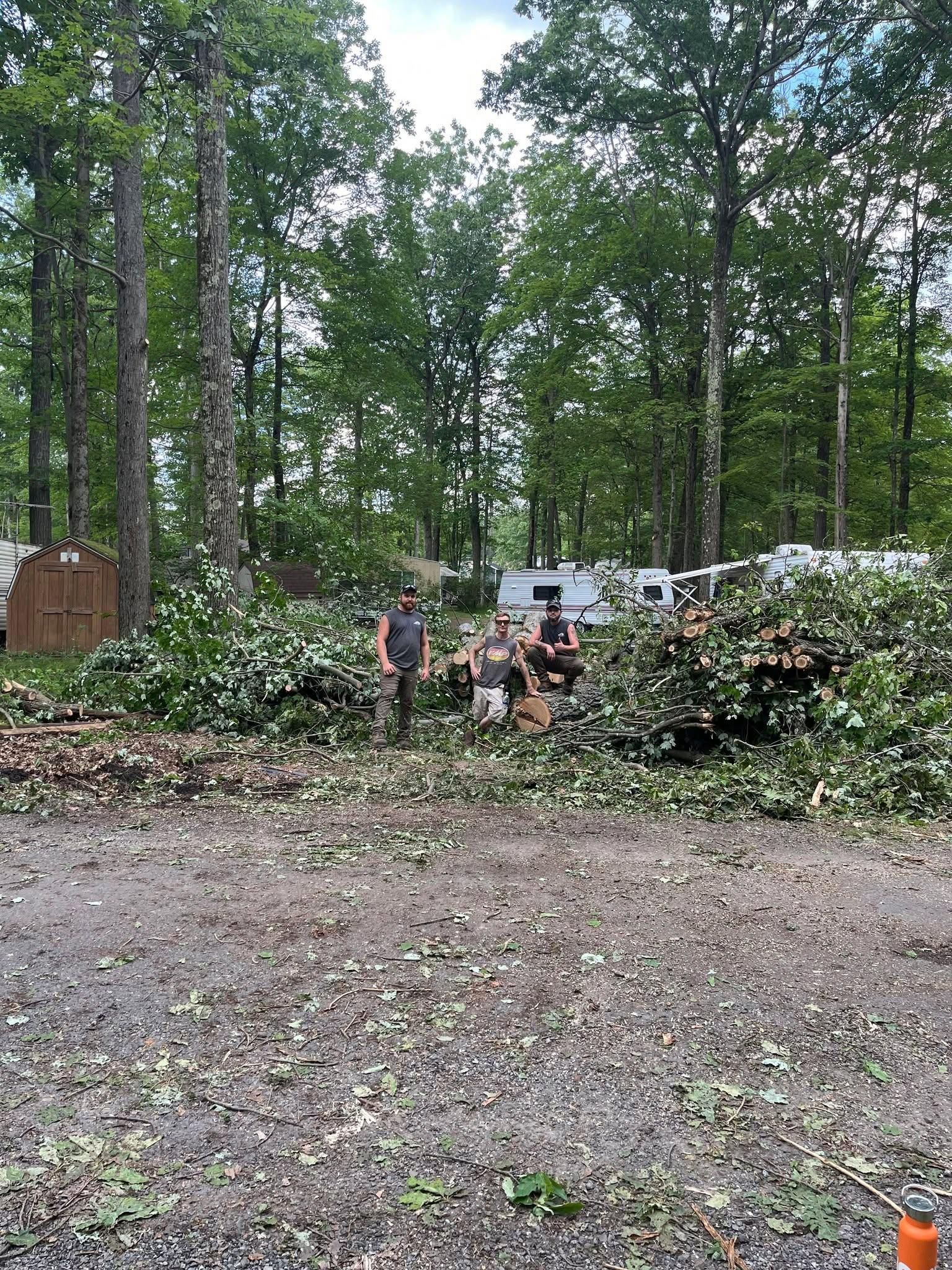  for J&E Tree & Excavation Services in Sandy, PA