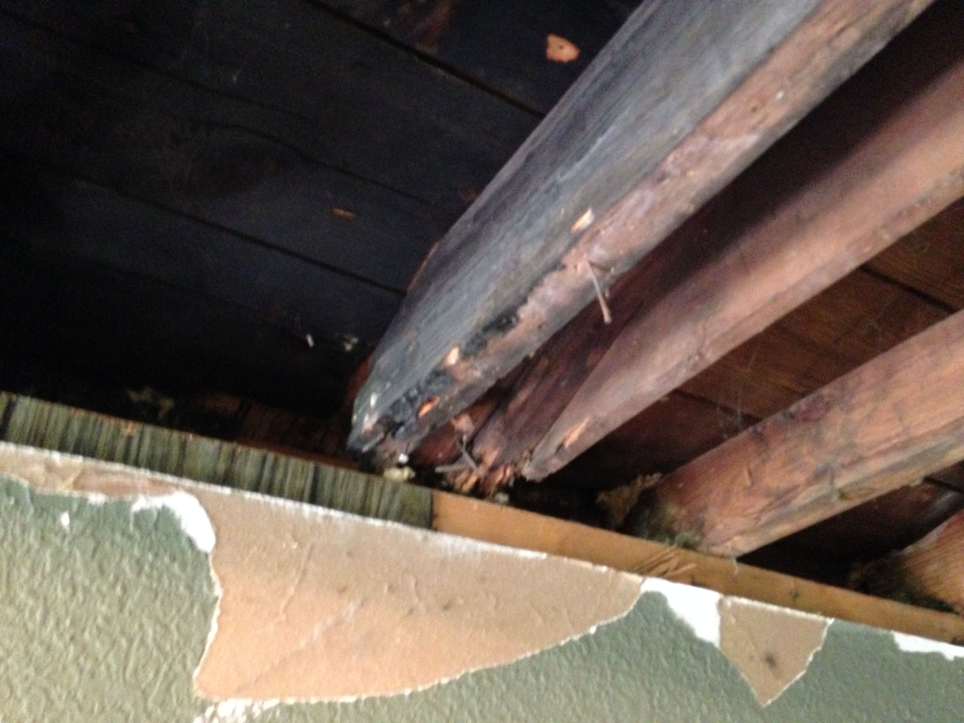 All Photos for CSI of Chicago in Chicago, IL