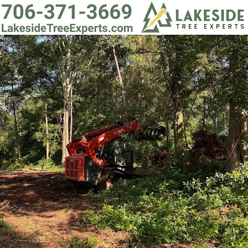 All Photos for Lakeside Tree Experts LLC in Hartwell, GA