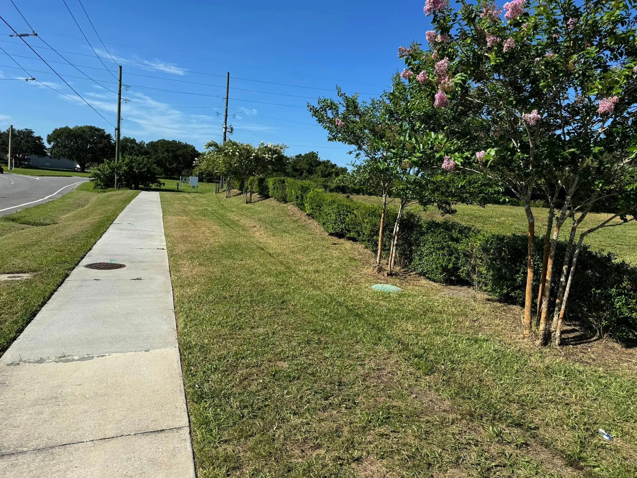 Landscaping for MyerScapes Environmental LLC in Mulberry, FL