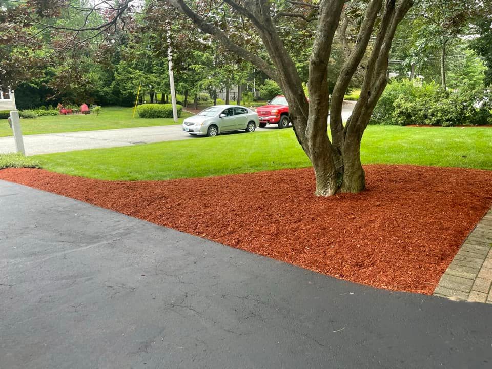  for Witt Excavating and Equipment in Hudson, NH