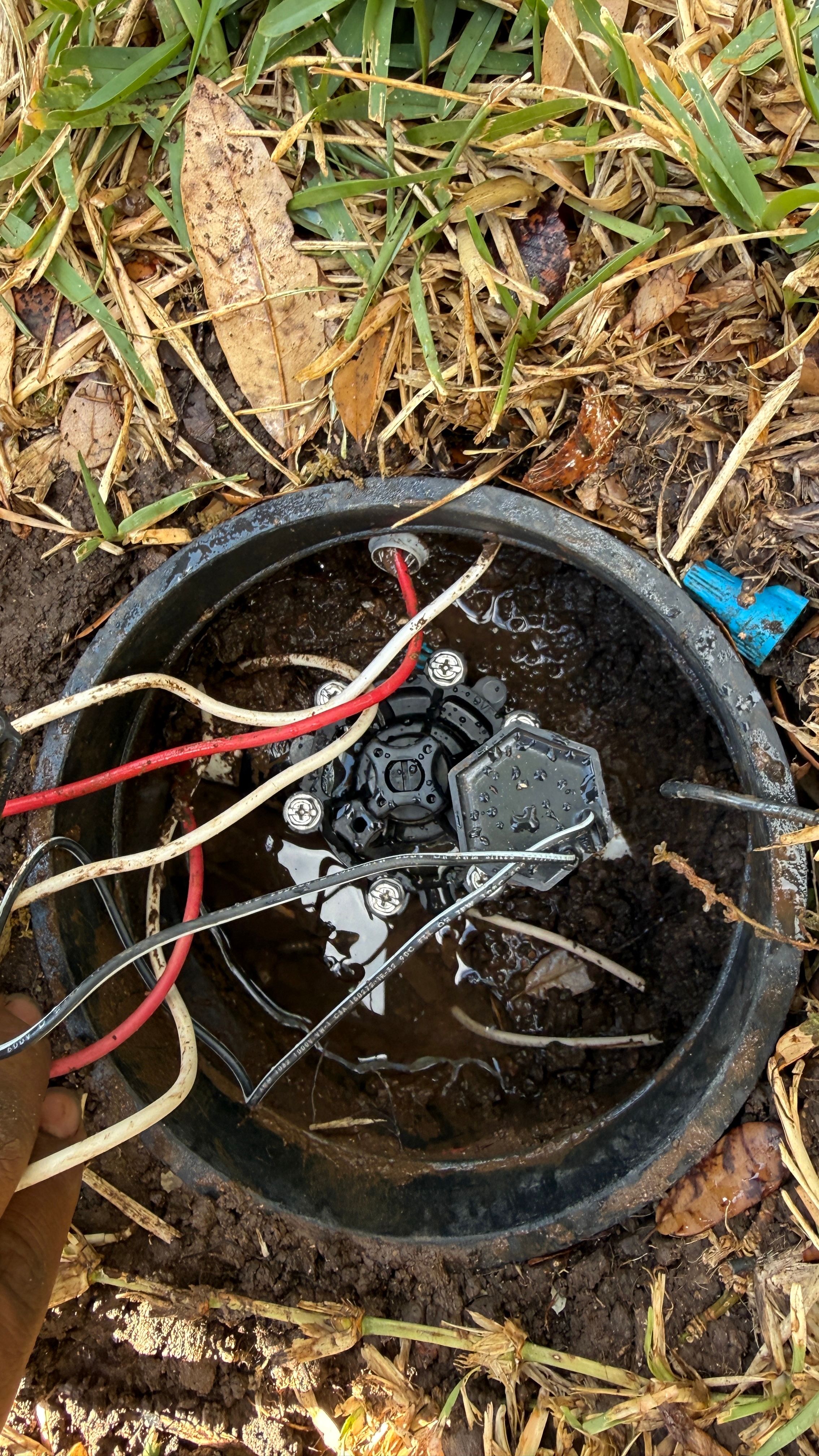  for Light Blue Irrigation in Austin, TX