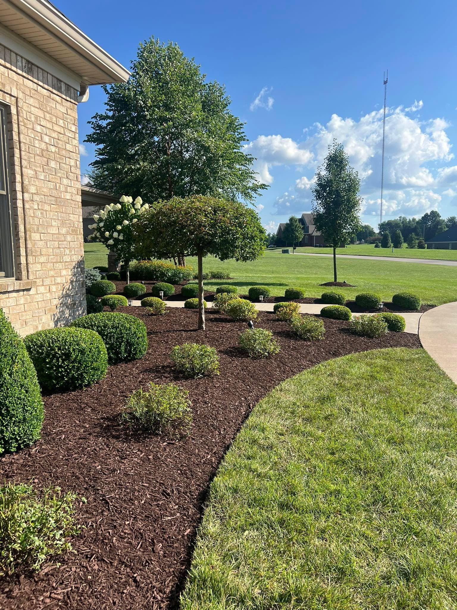  for Full Service Landscaping in Louisville, KY