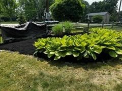  for A&A Lawnworks in Maximo, OH