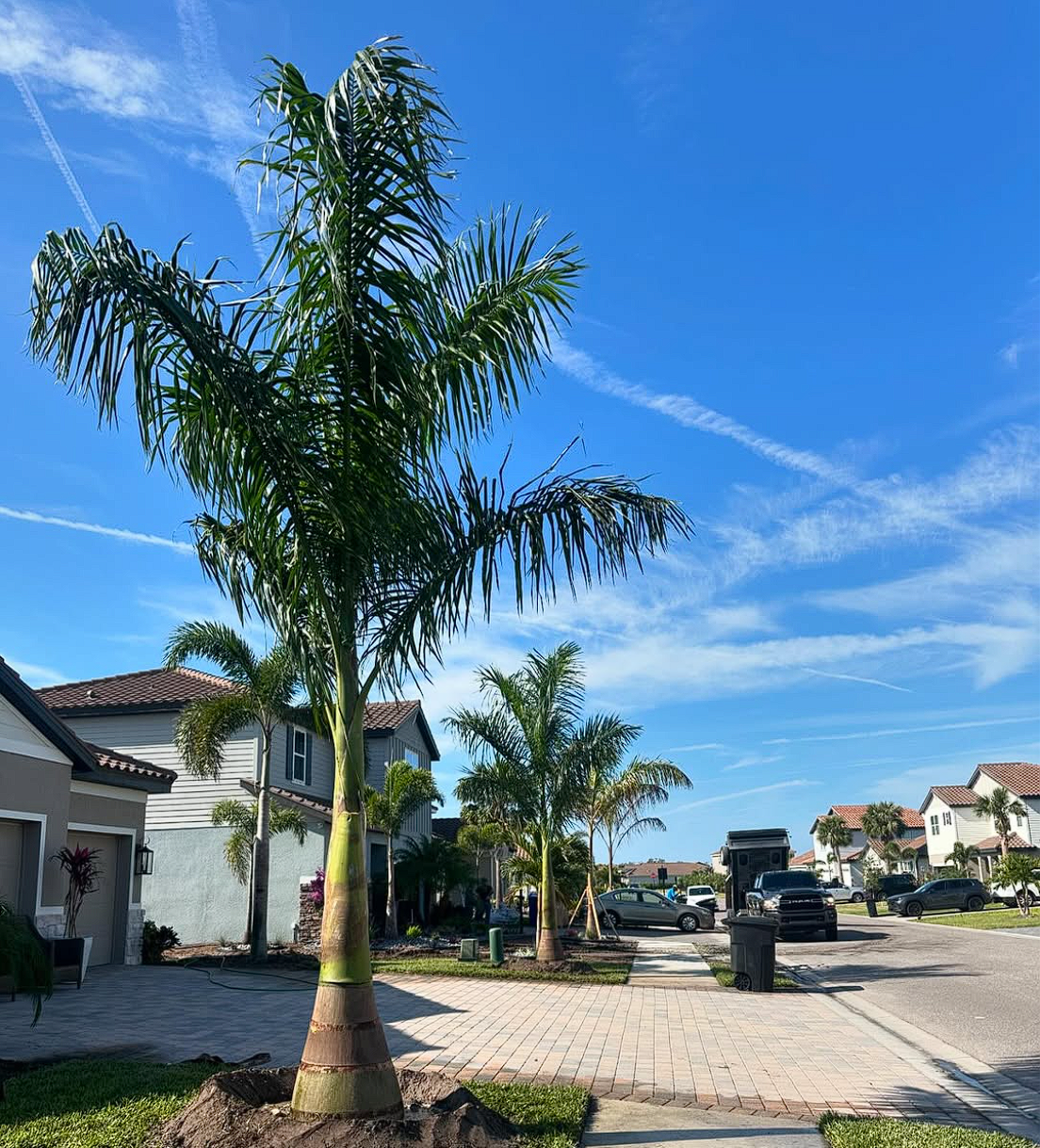  for Plant World LLC in Cape Coral, FL