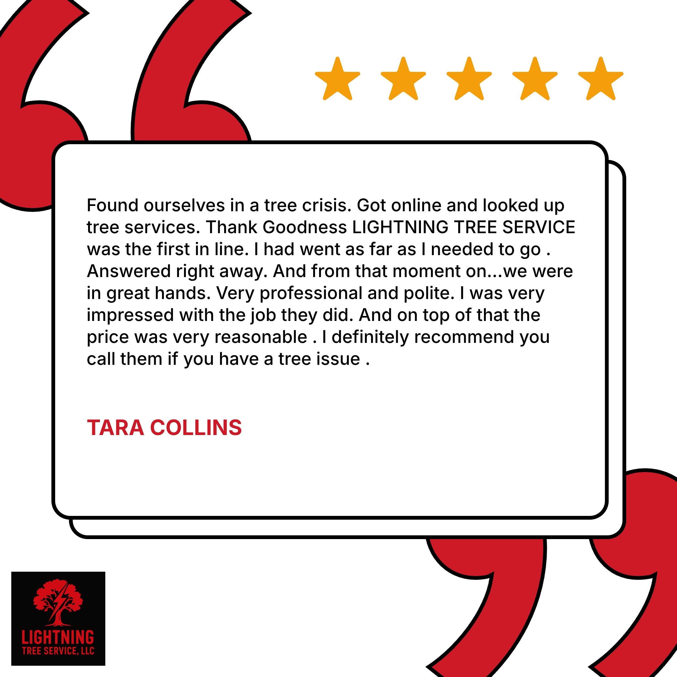  for Lightning Tree Service in Springfield, MO