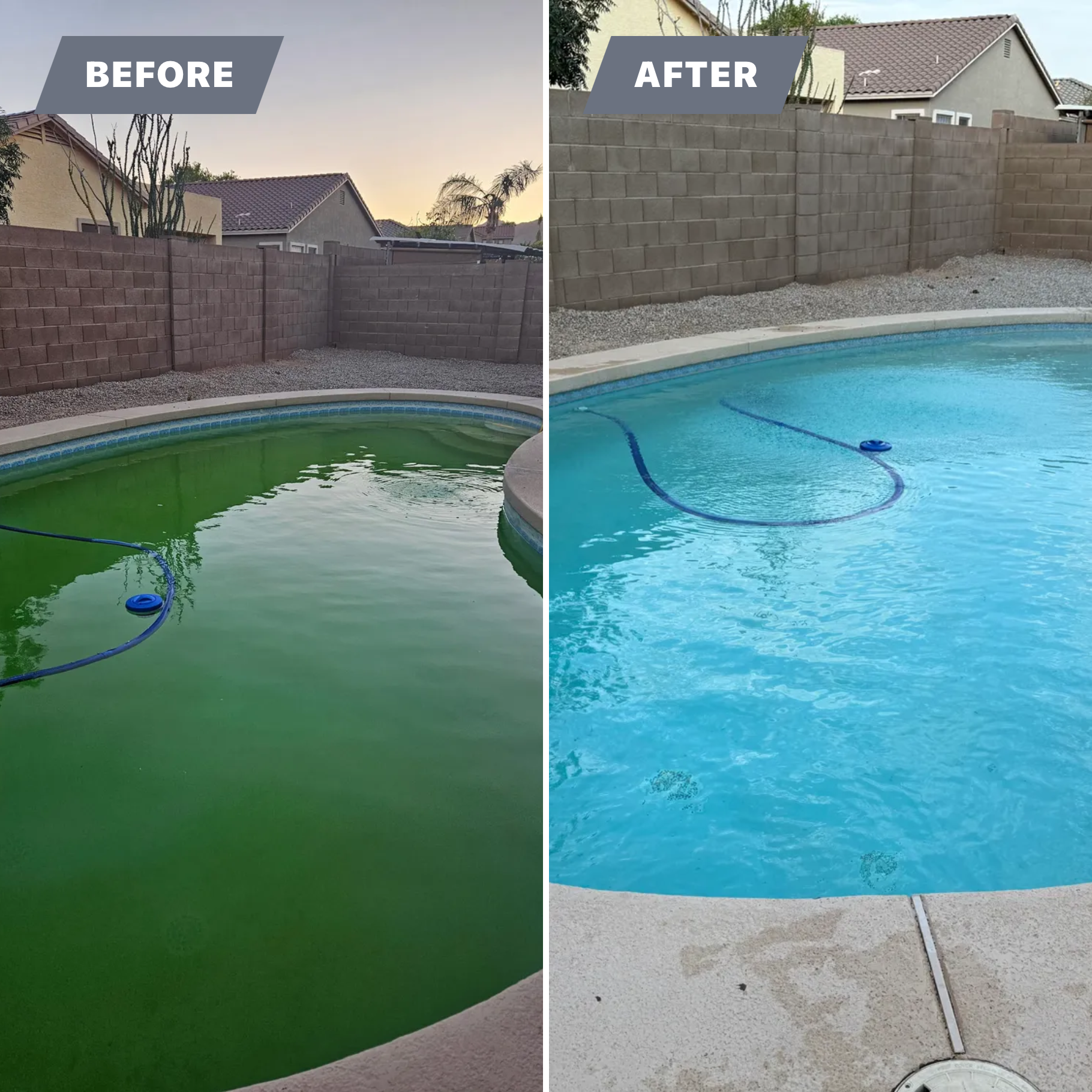 Pool Maintenance for Trublu Pool and Spa in Queen Creek, AZ