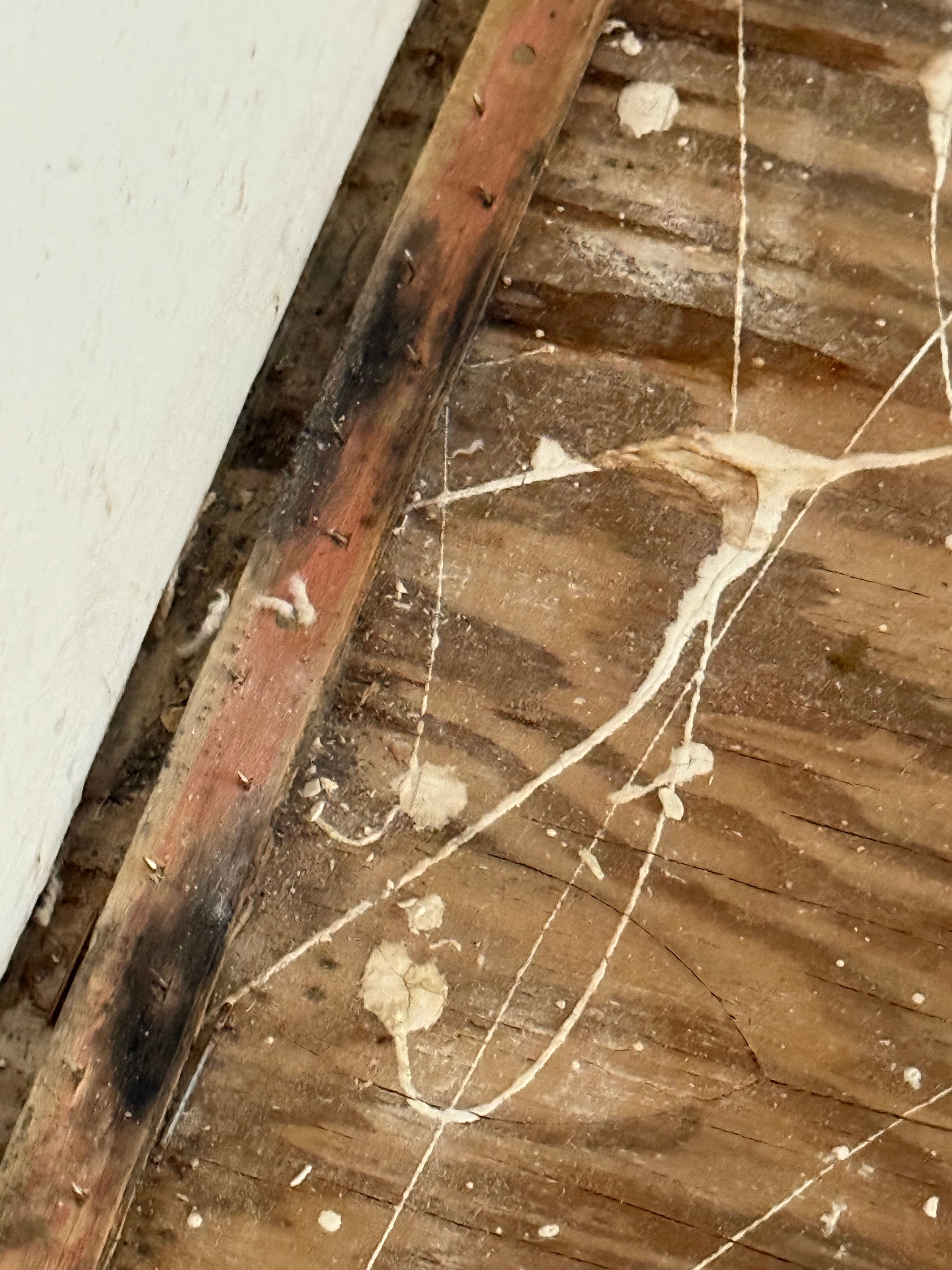  for Titan Remediation Industries in West Palm Beach, FL