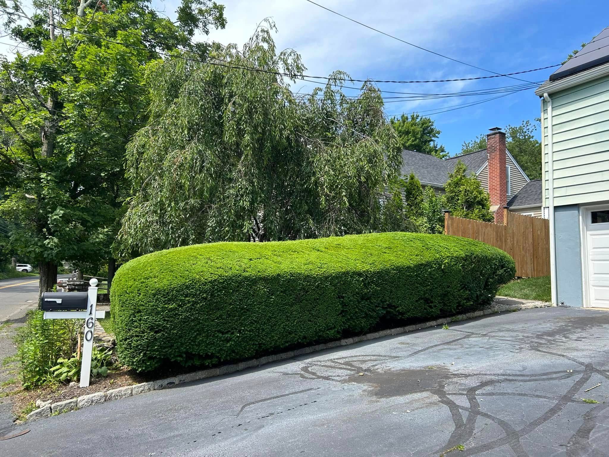  for Jose Gonzalez Landscaping in Stamford, CT