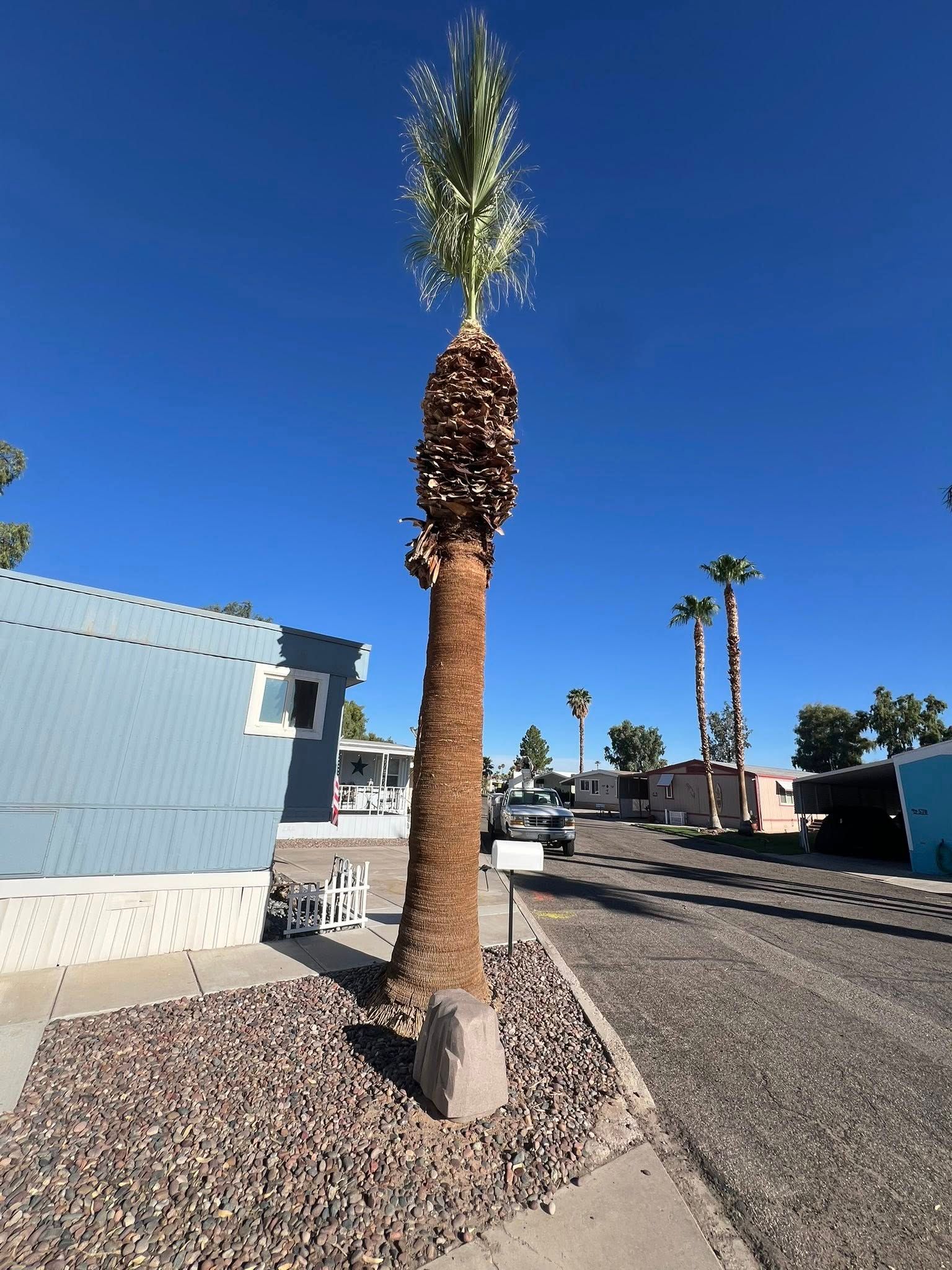  for Top Notch Landscape Services in Mohave Valley, AZ