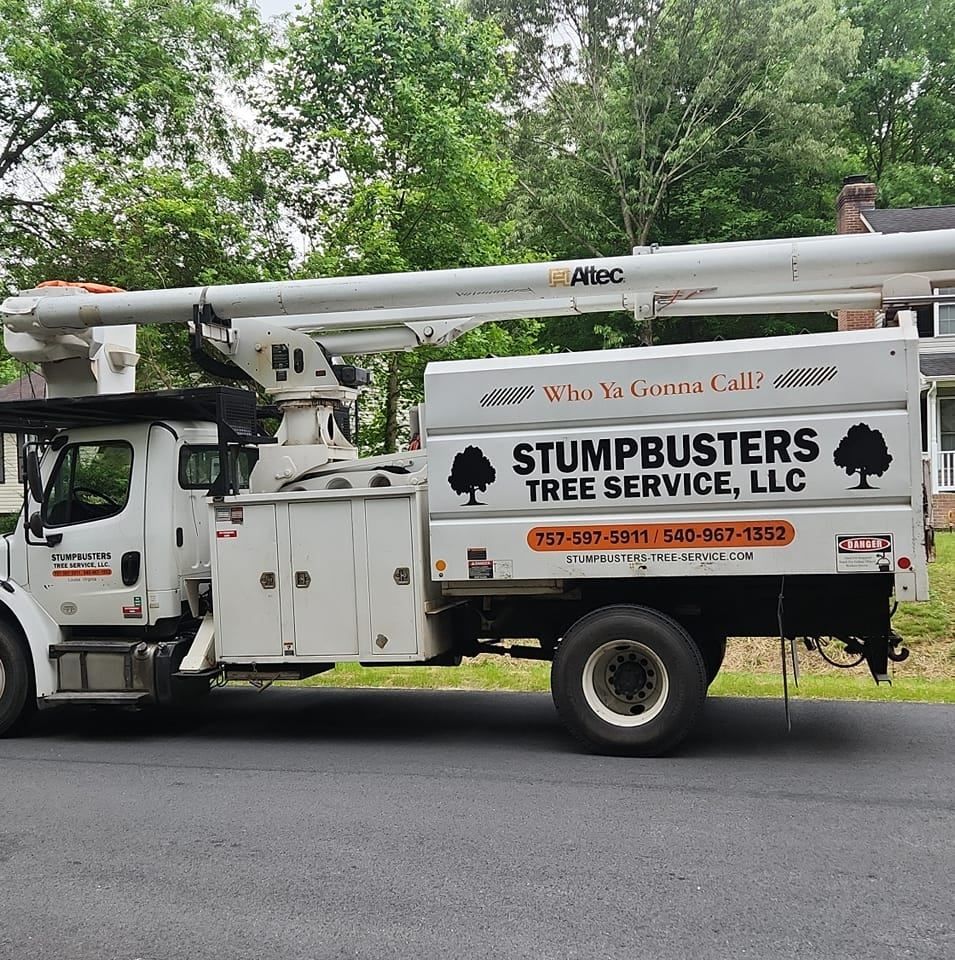 Tree Removal for Stumpbusters Tree Service in Louisa County, VA