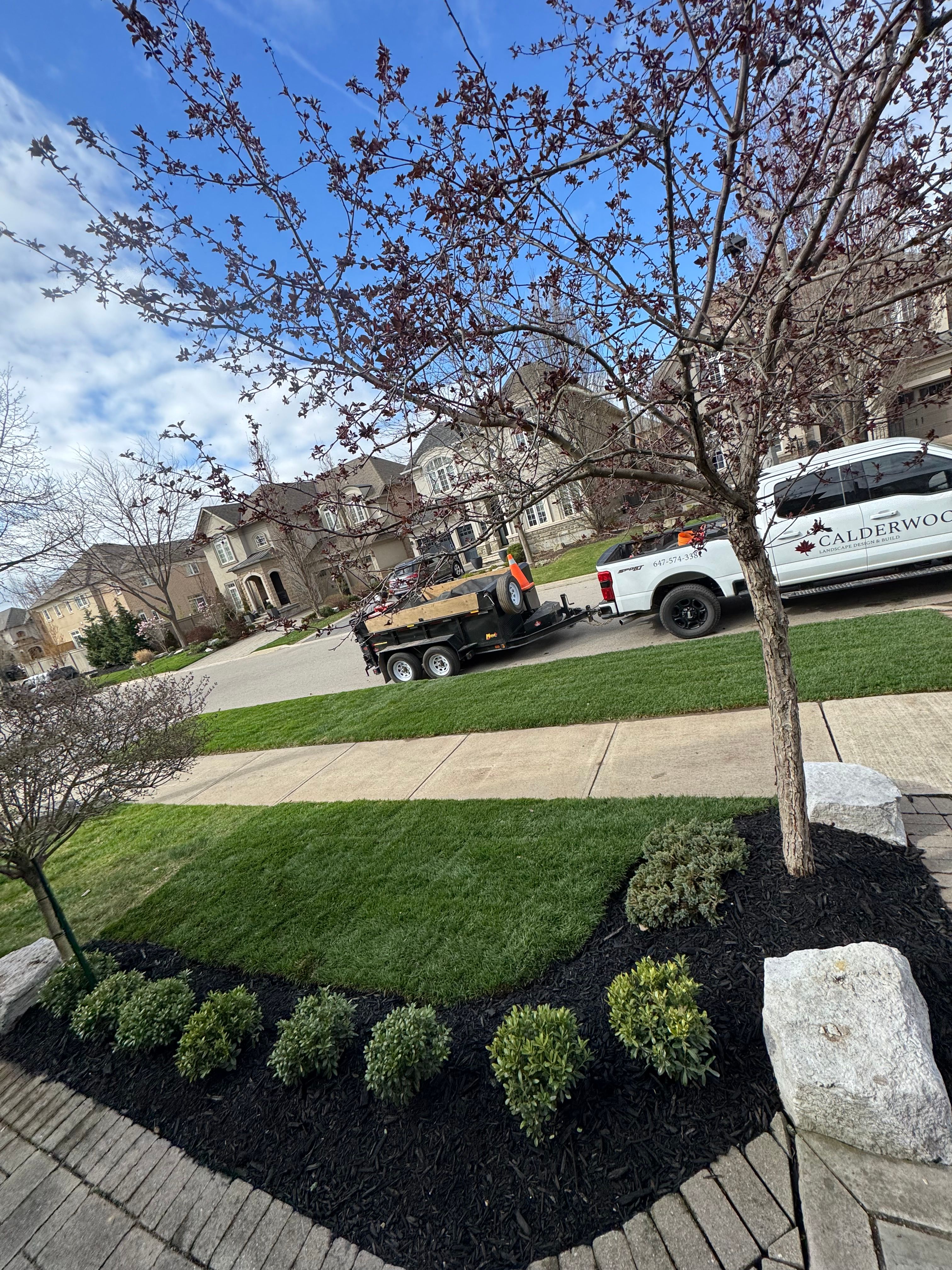 Sod Installation for Calderwood Landscapes in Oakville, ON