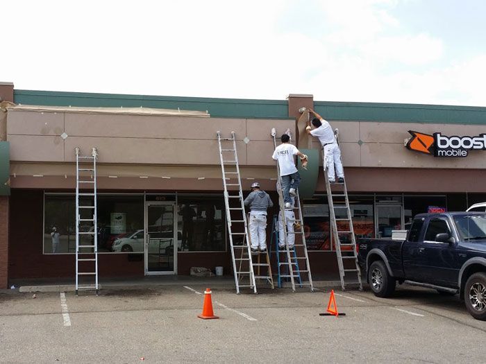  for Mile High Painting Solutions in Denver, CO
