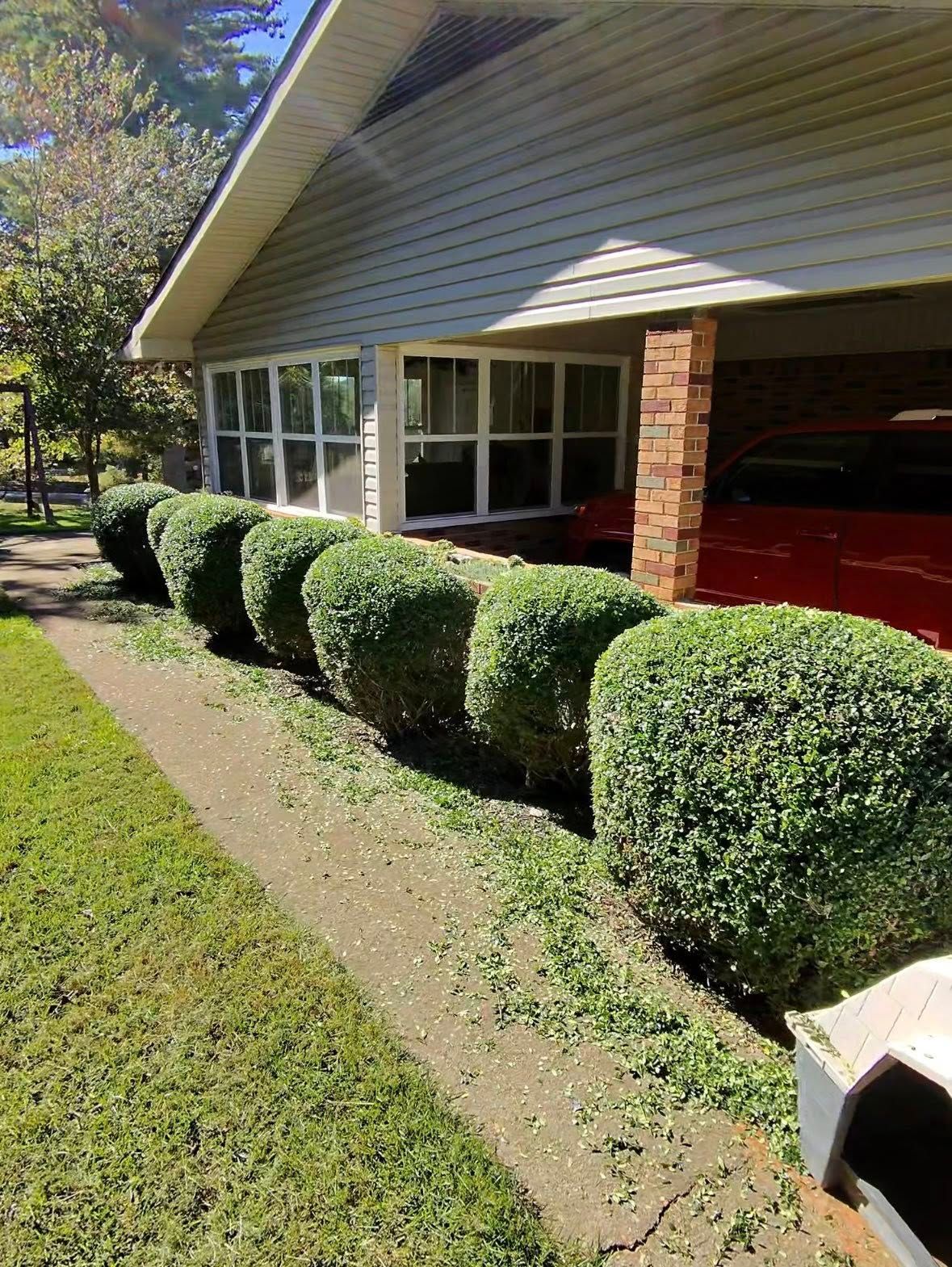  for Taylormade Lawn Management in Clarkesville, GA