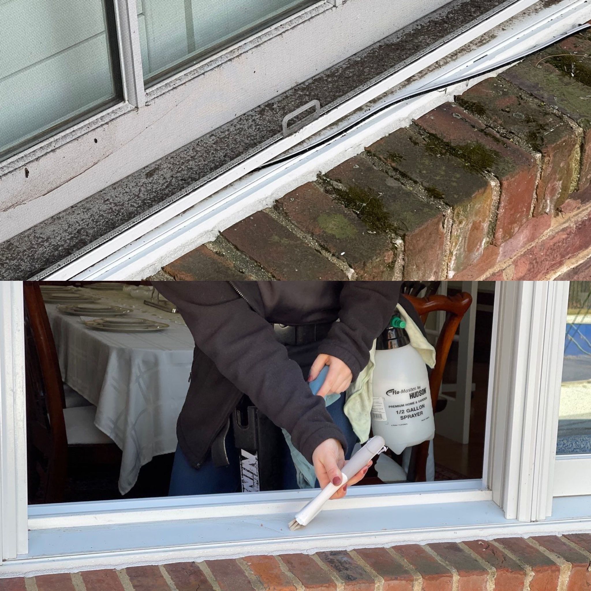  for See2it Clean in St Louis, MO